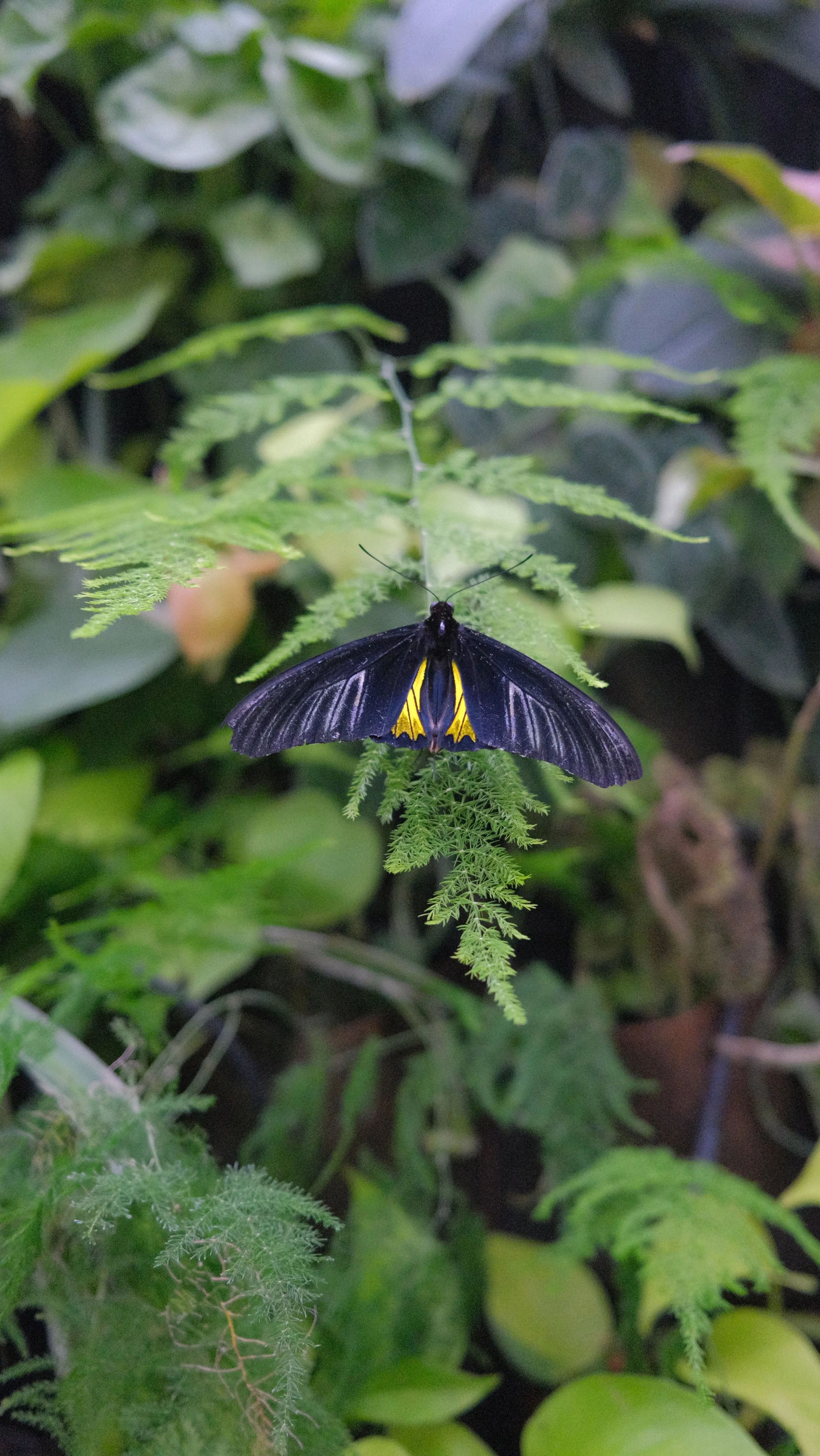 DSCF2601.JPG