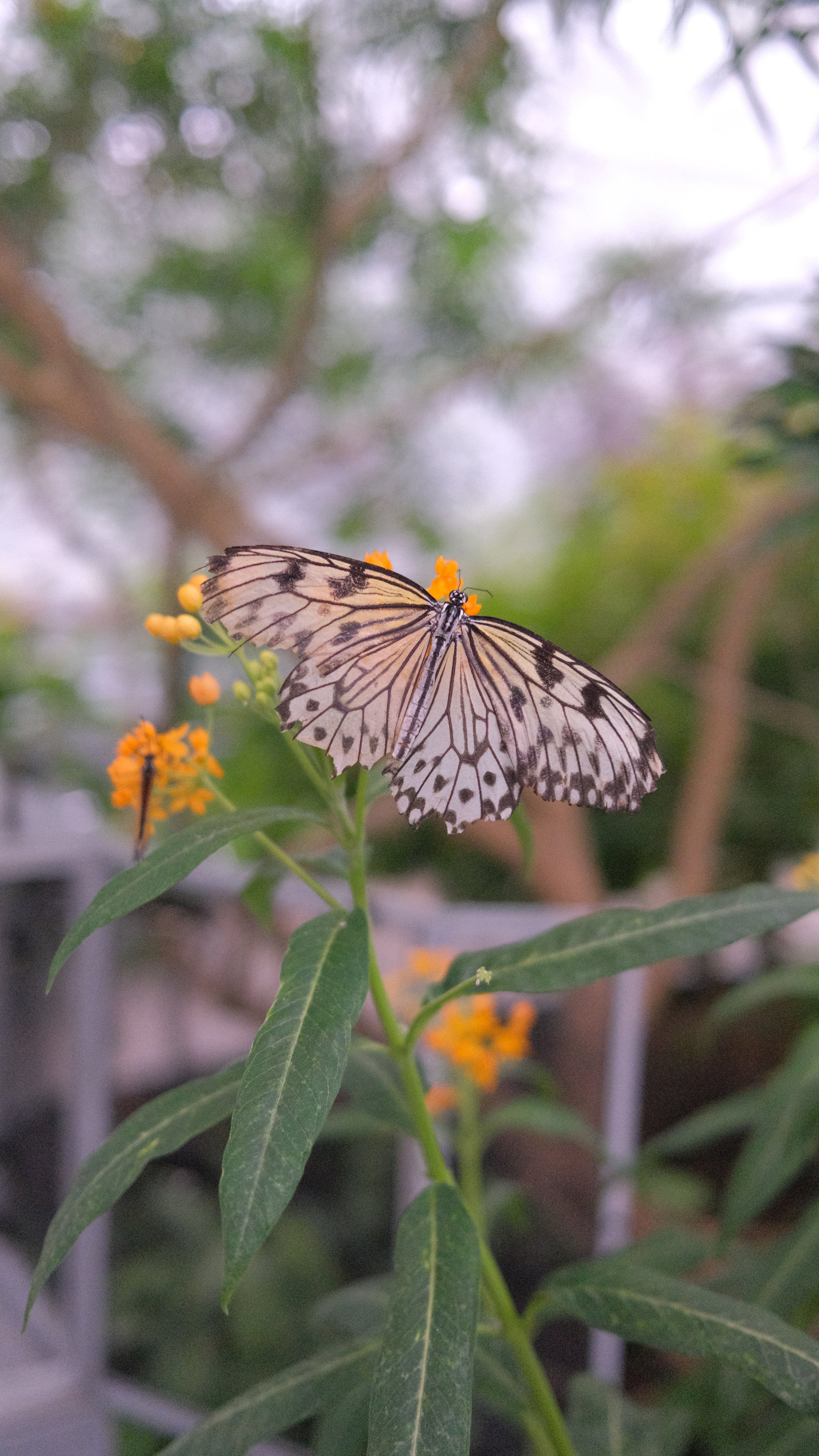 DSCF2628.JPG