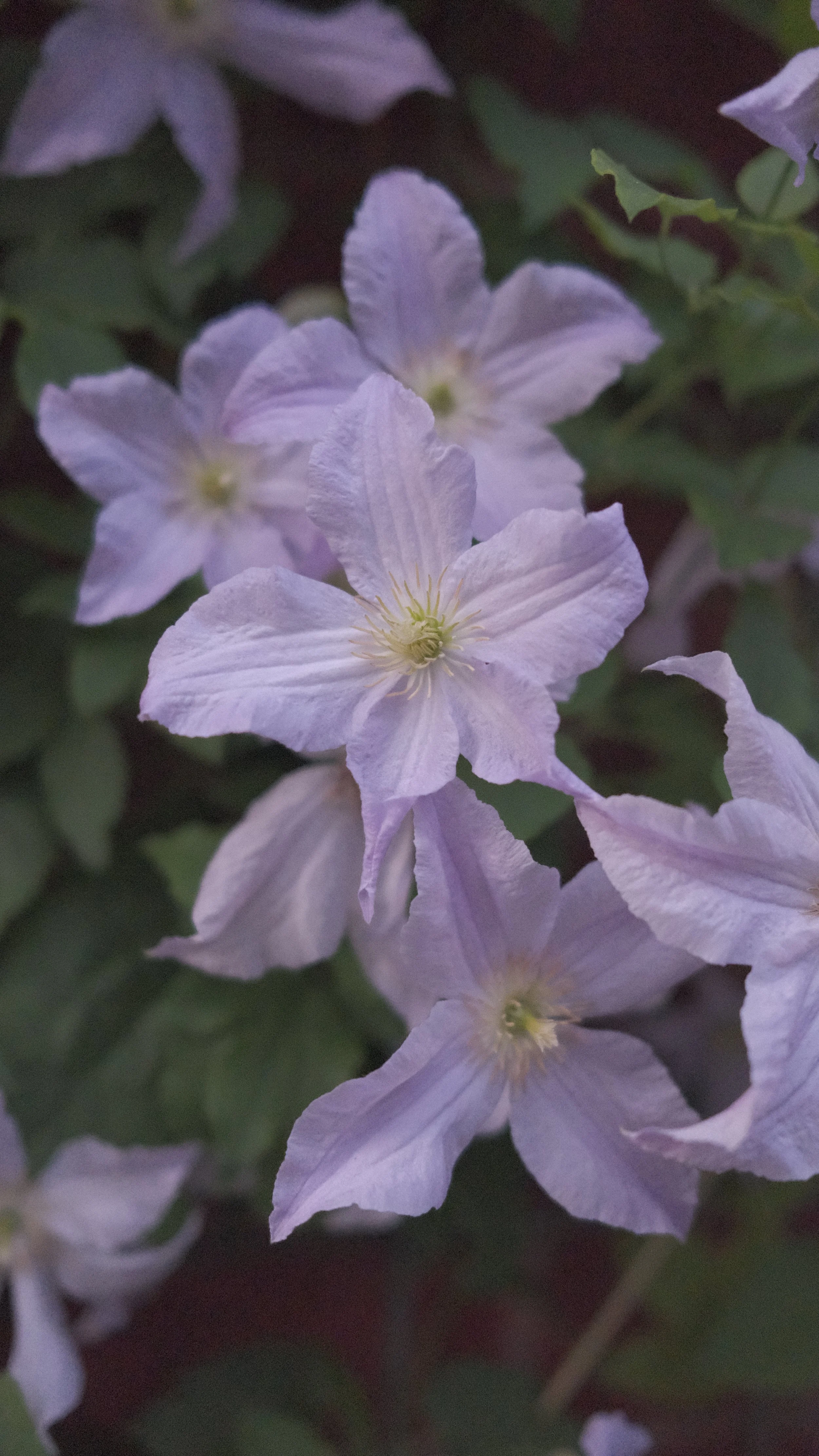 DSCF2576.JPG