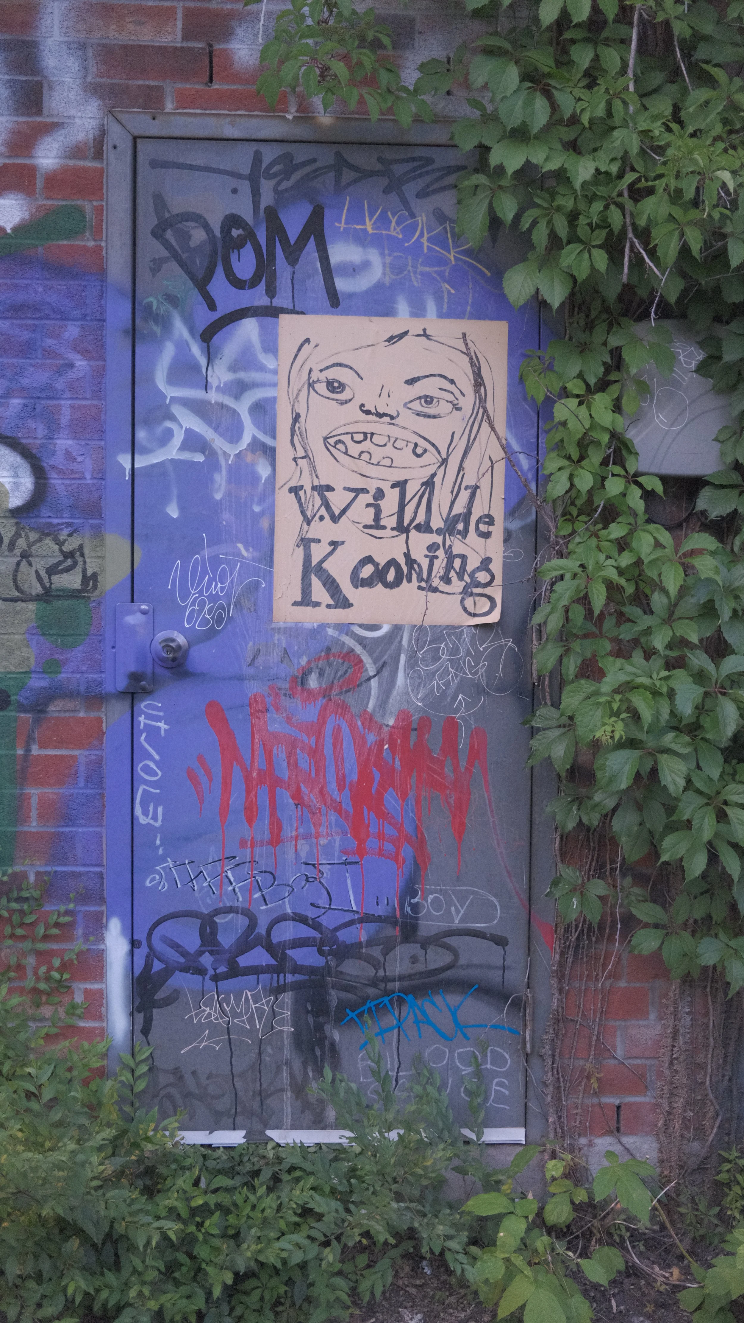 DSCF2540.JPG