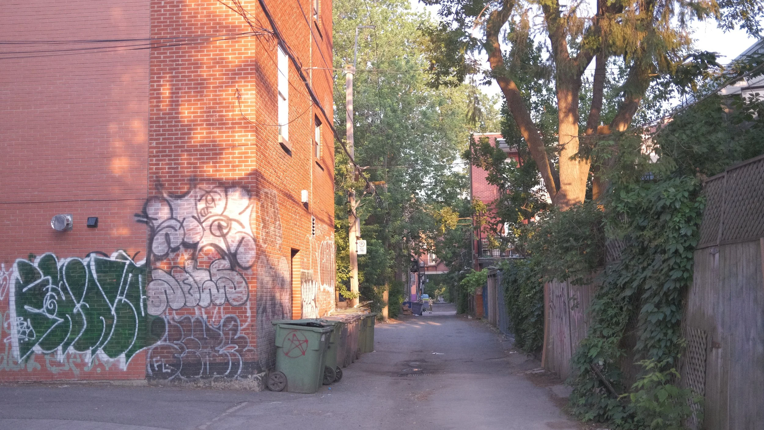 DSCF2541.JPG