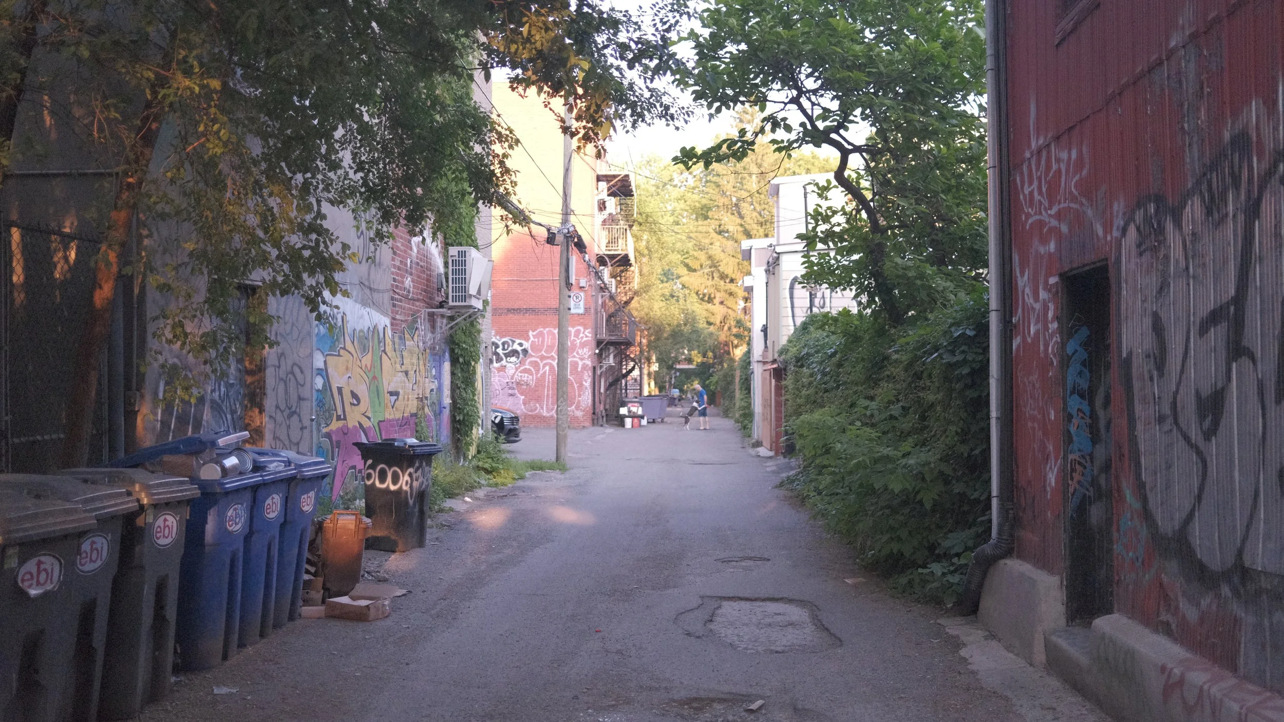 DSCF2532.JPG