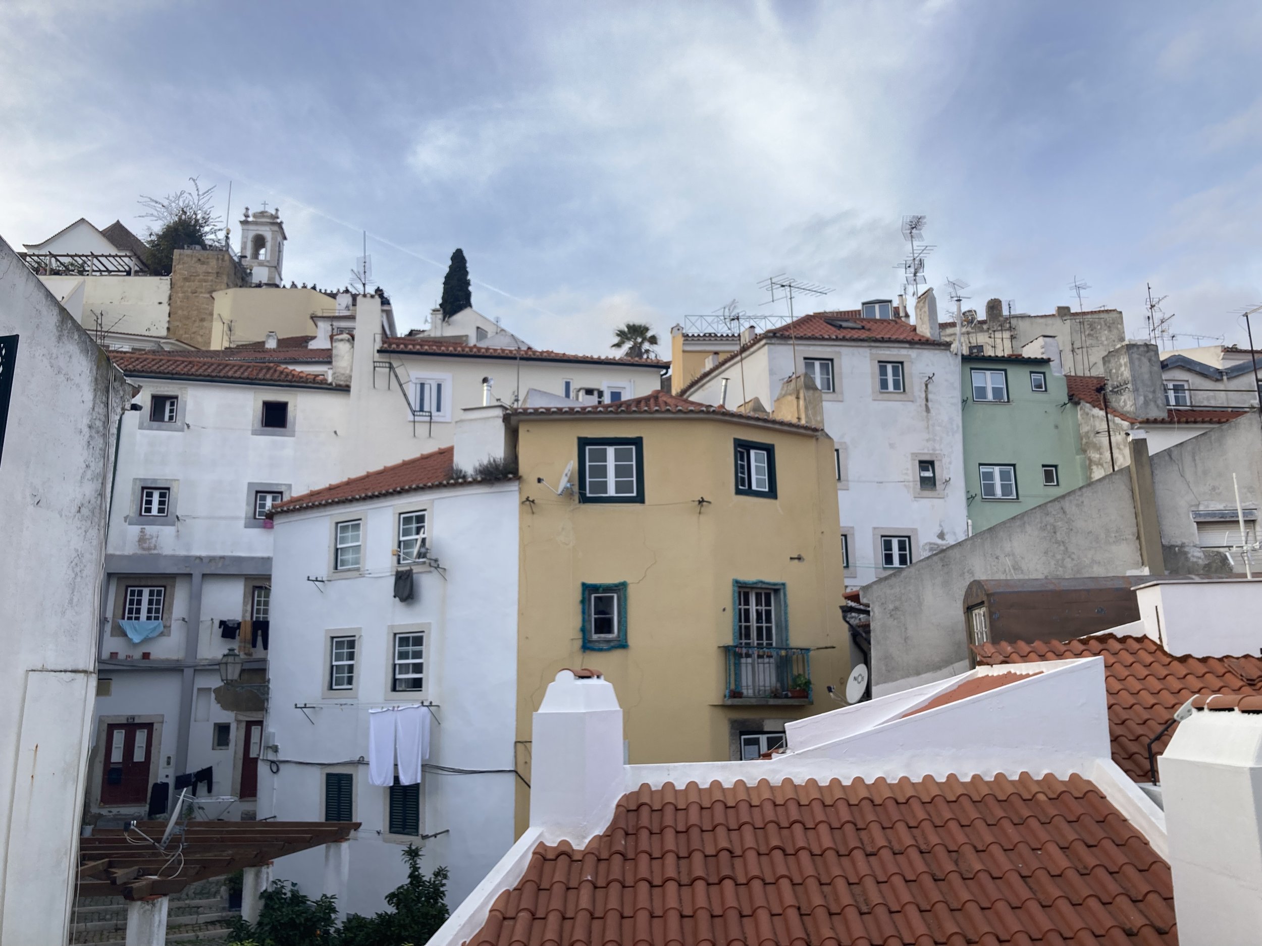 IMG_0113.jpeg
