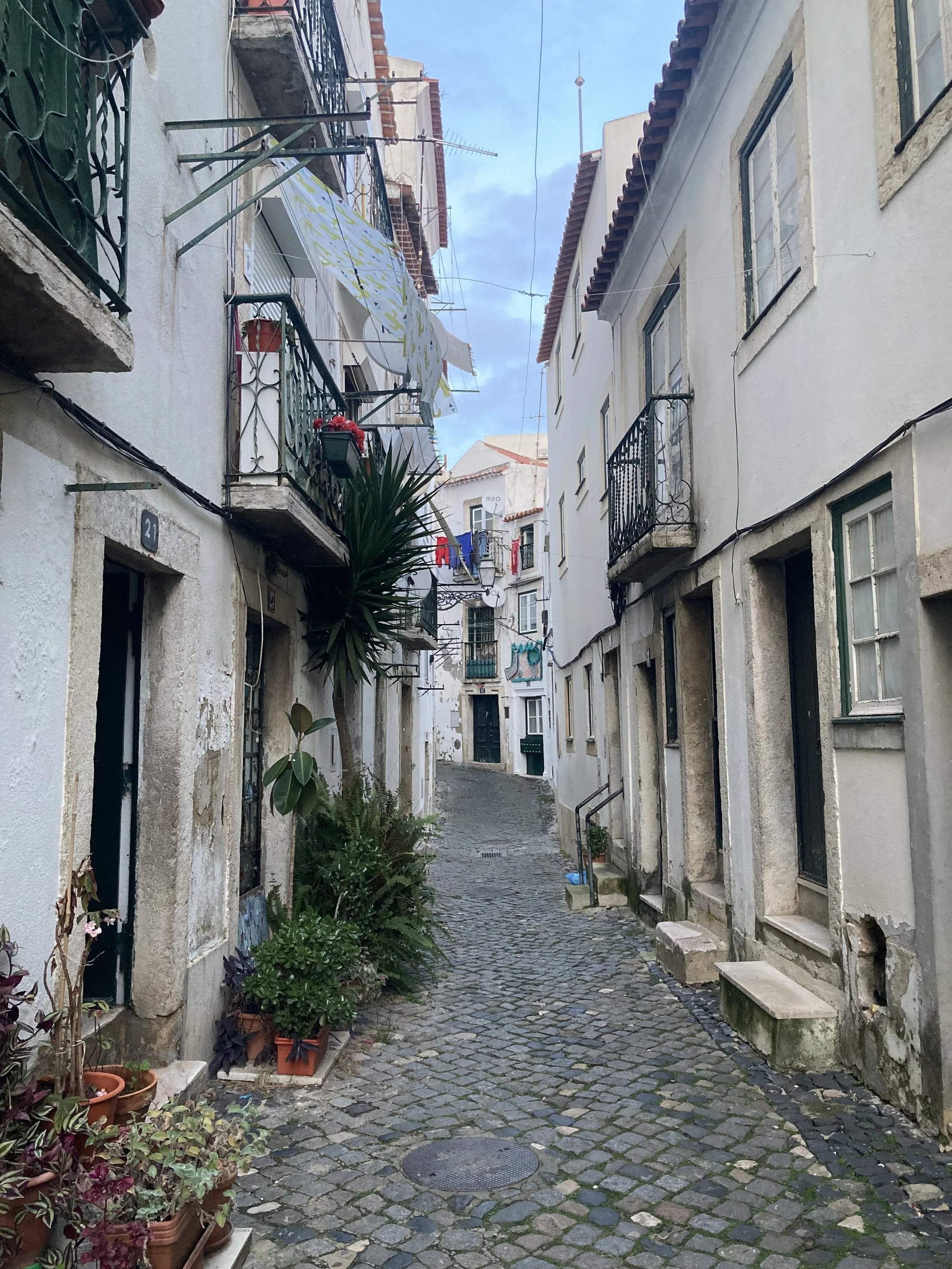 IMG_0123.jpeg