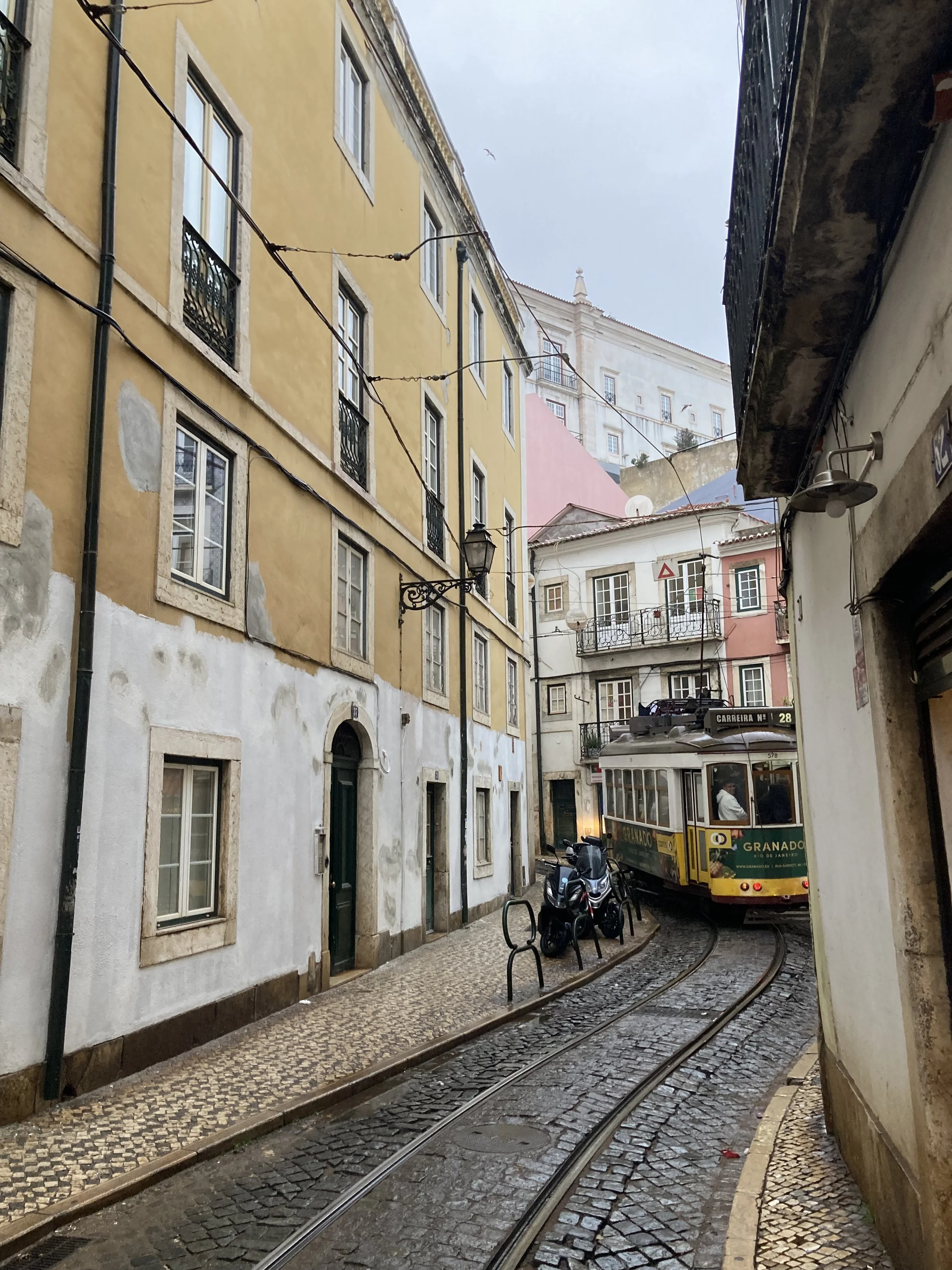 IMG_0229.jpeg