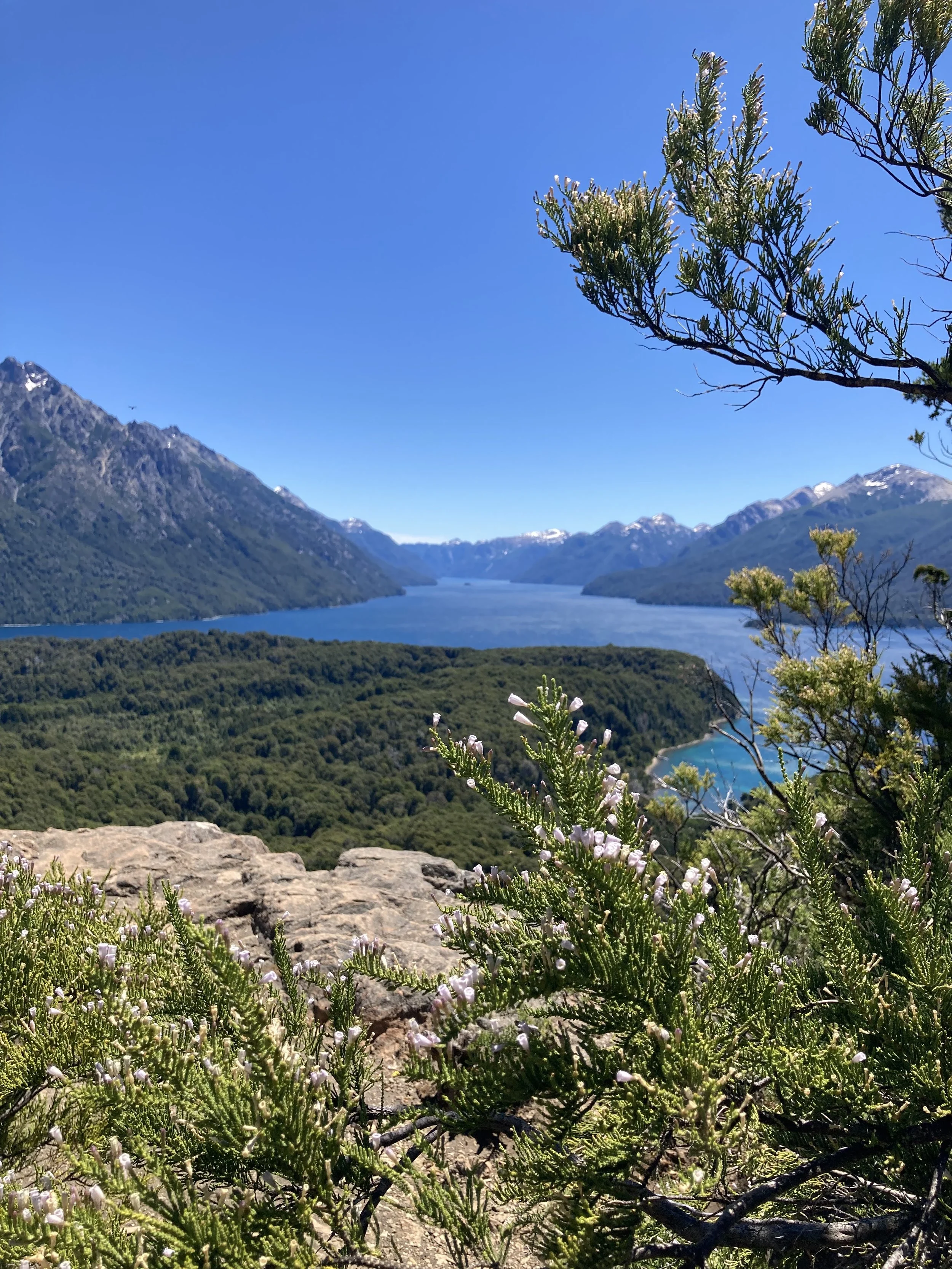 IMG_5002.jpeg