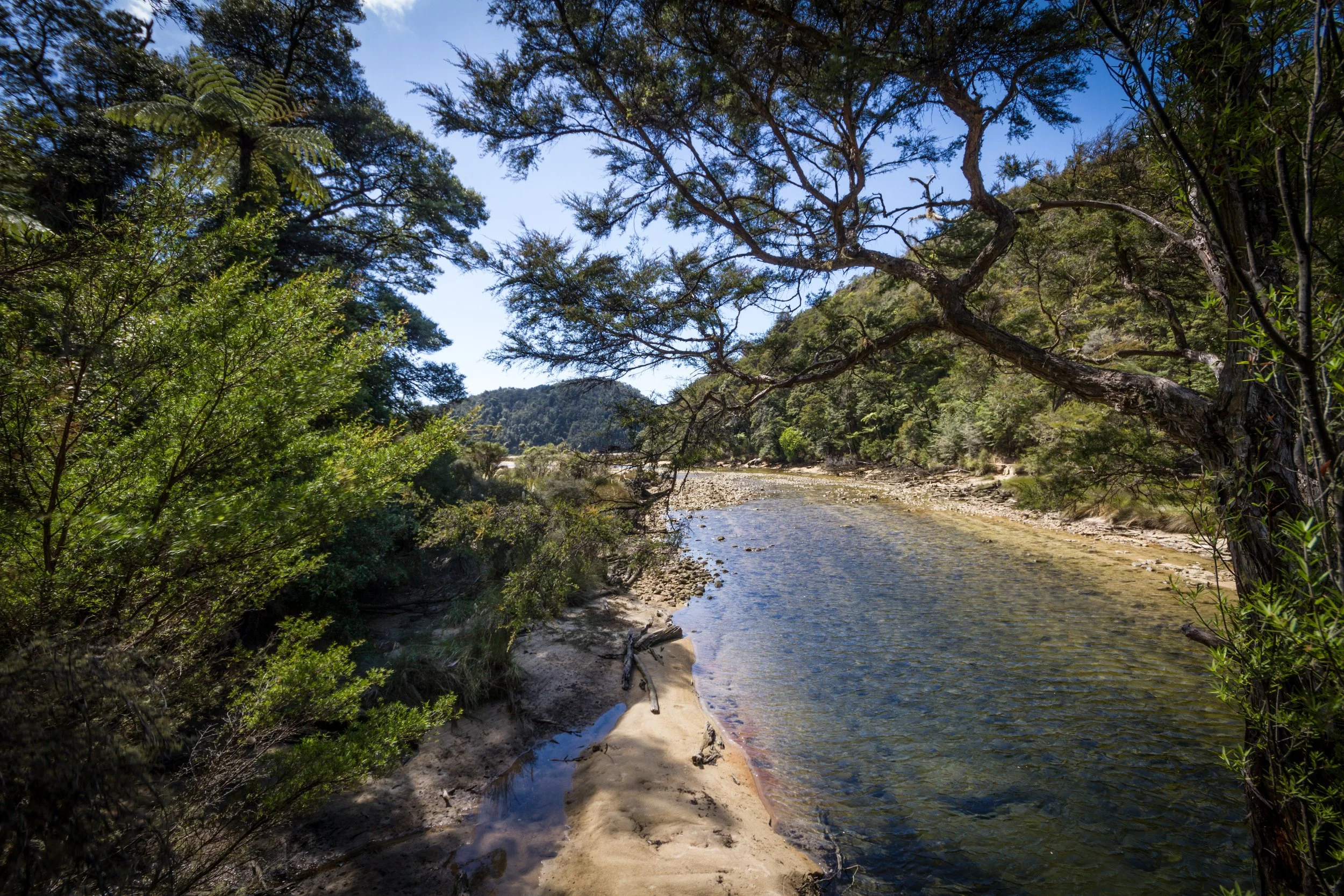 _MG_3486.jpg