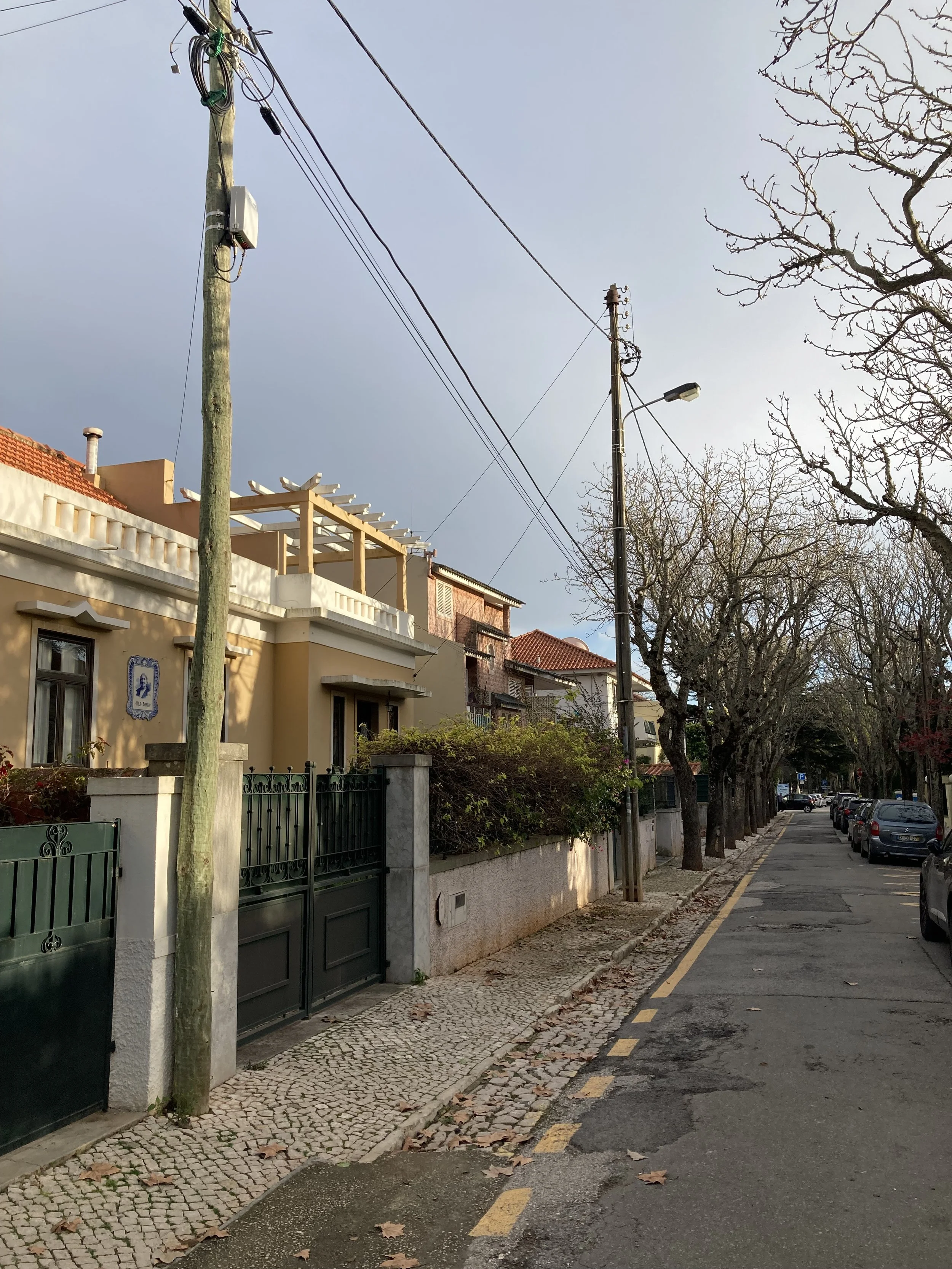 IMG_0554 2.jpeg