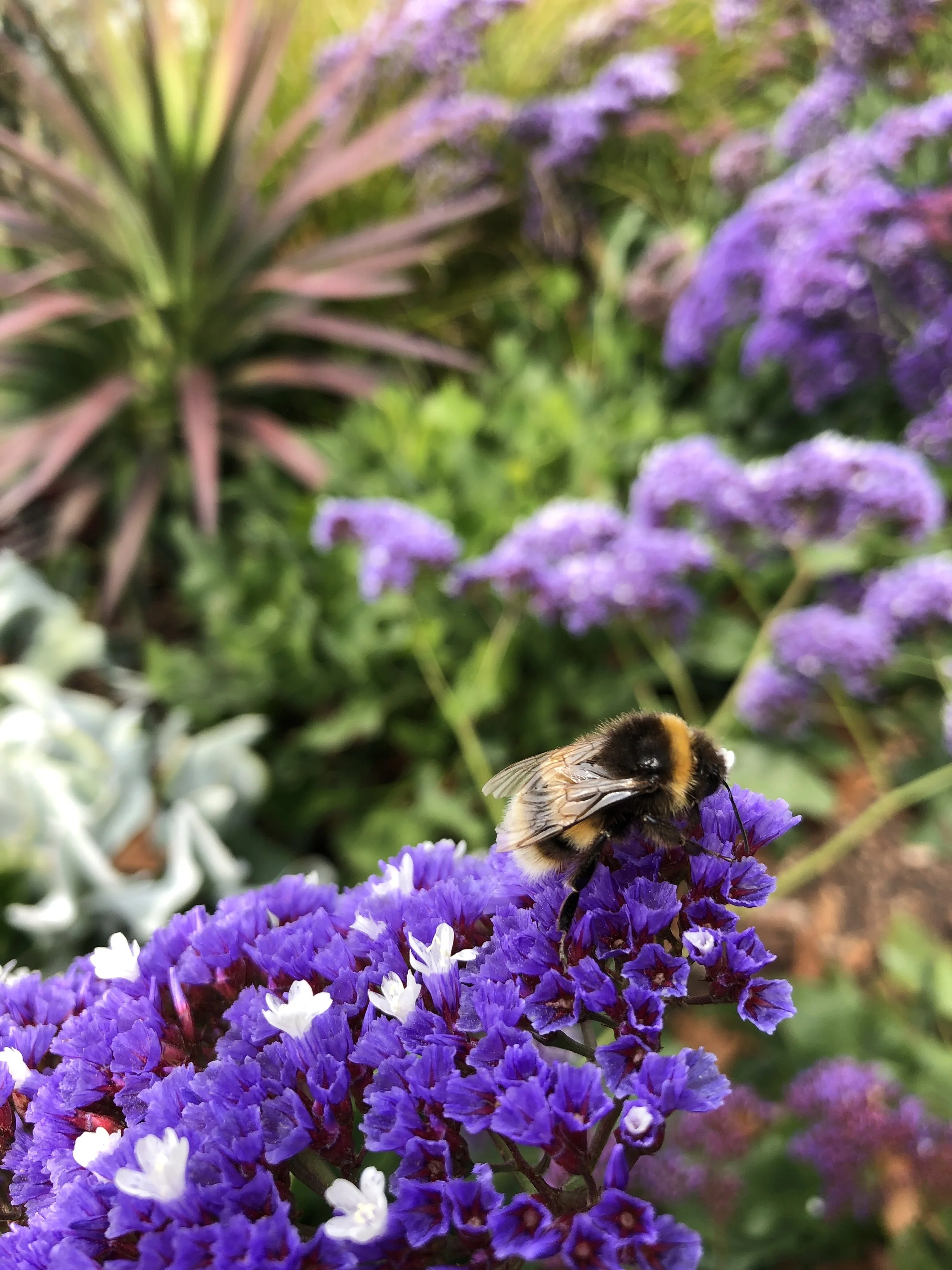 IMG_5808.jpeg