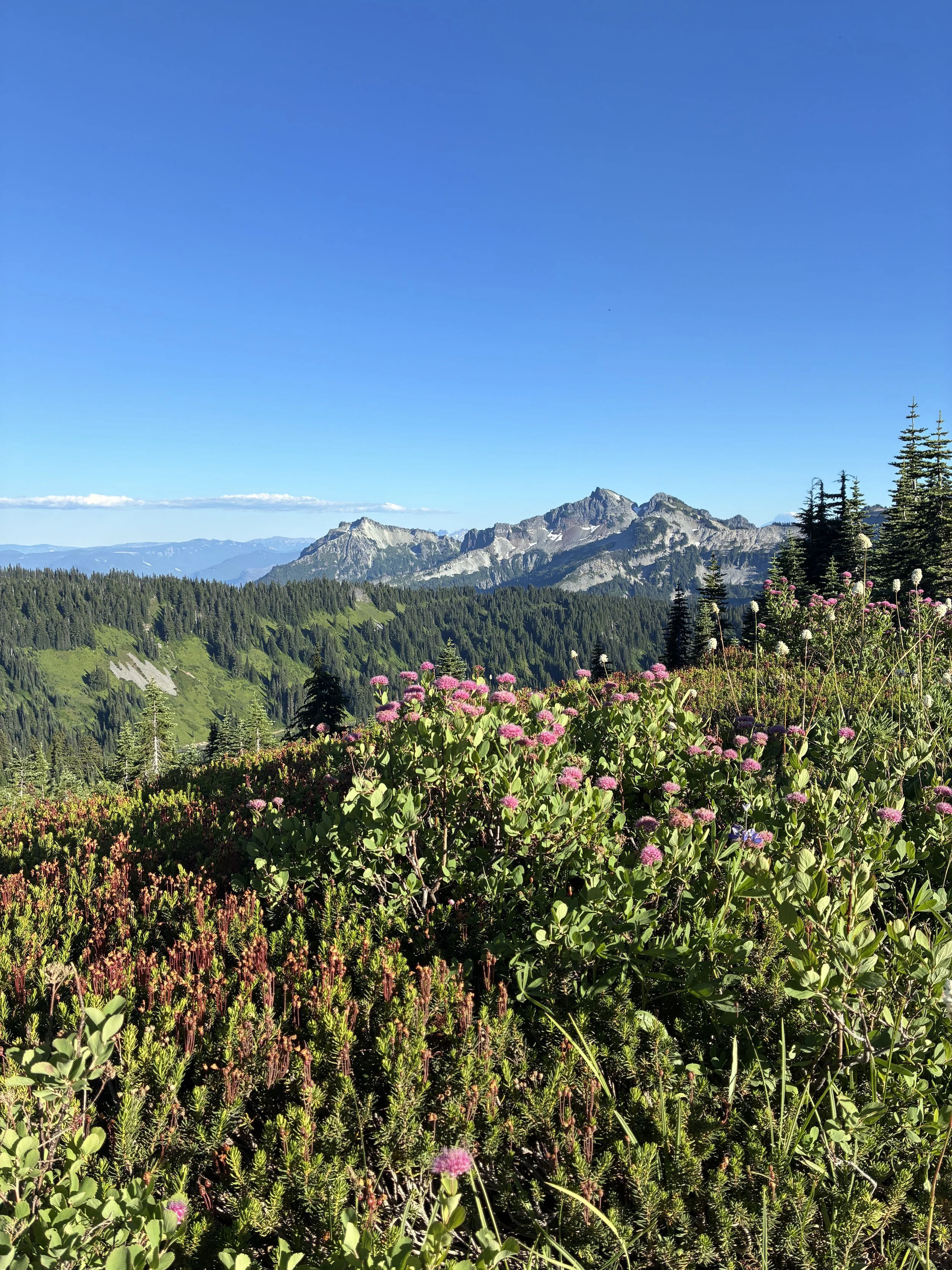 IMG_1814.jpeg