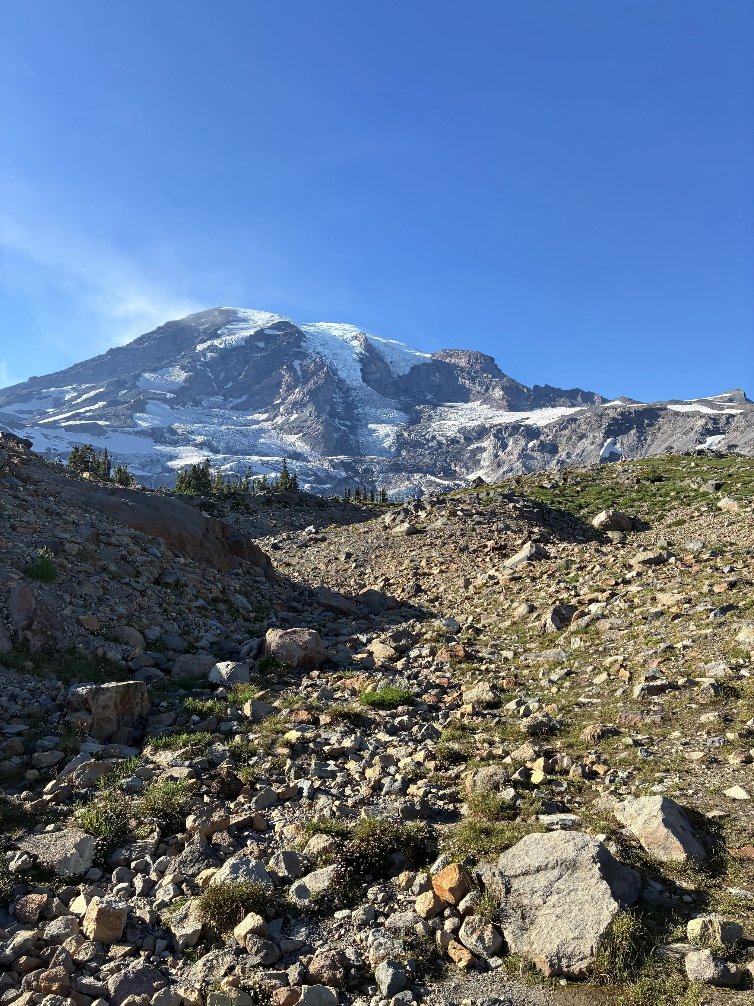 IMG_1796.jpeg