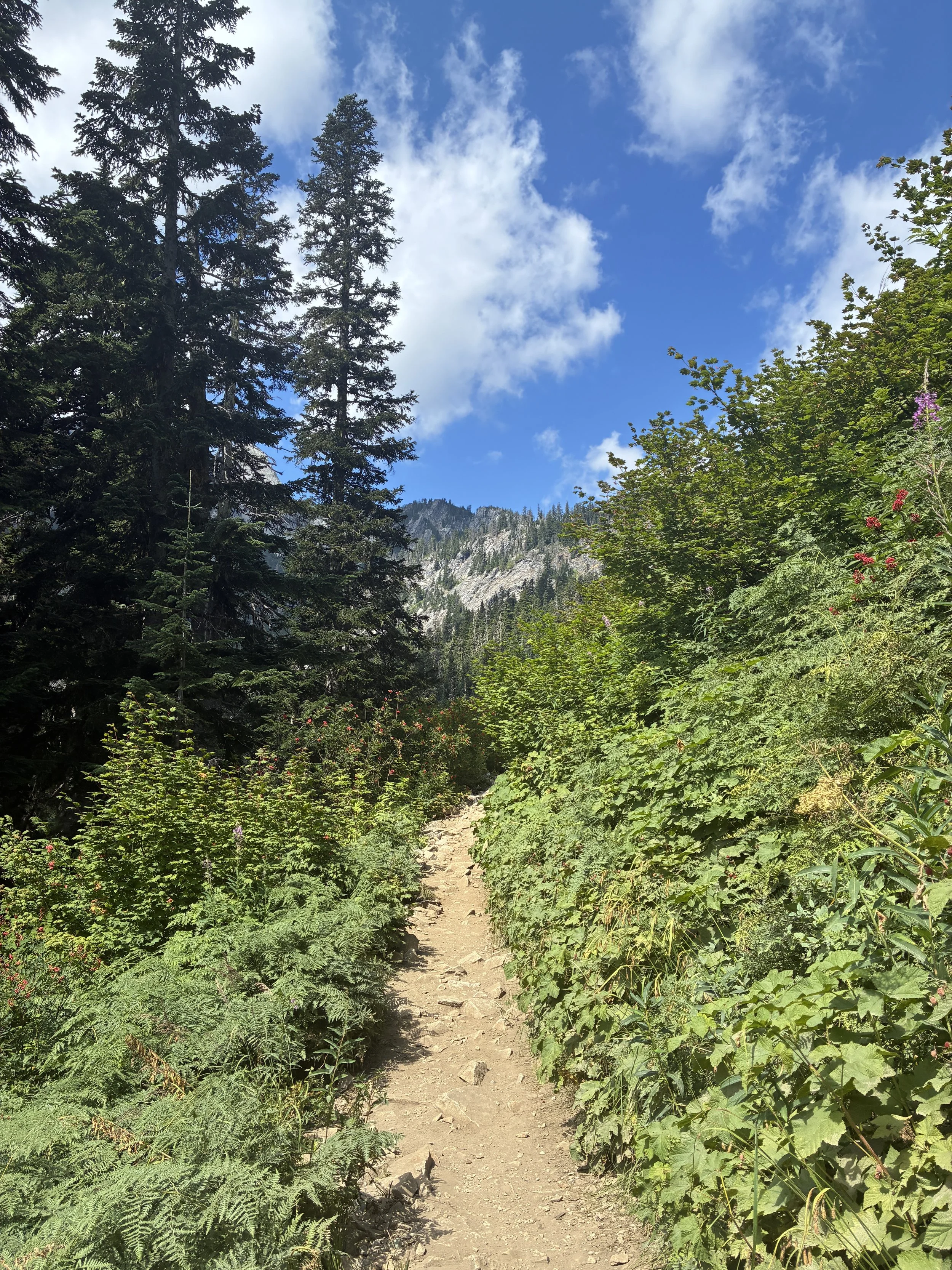 IMG_1938.jpeg
