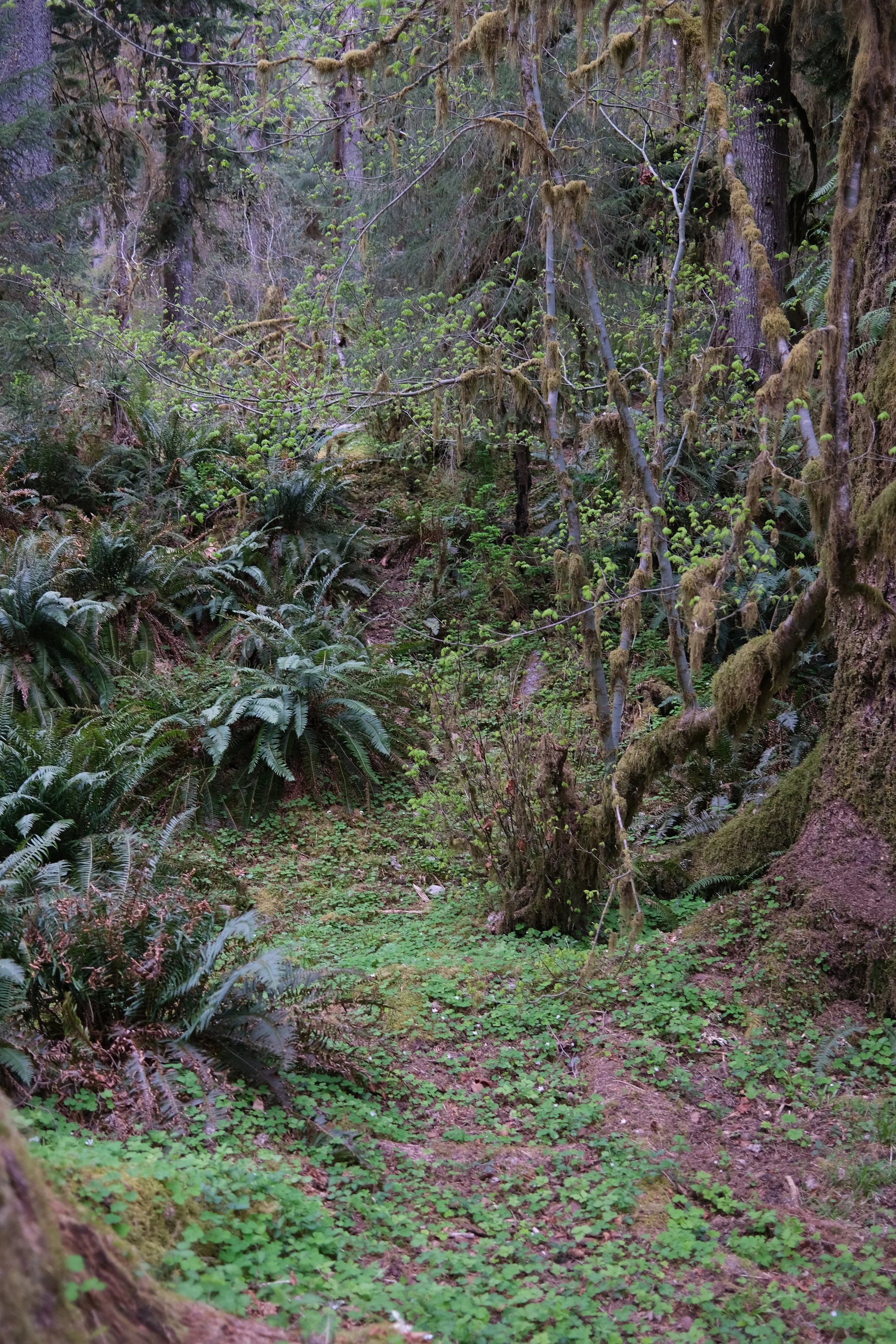 DSCF0782.JPG