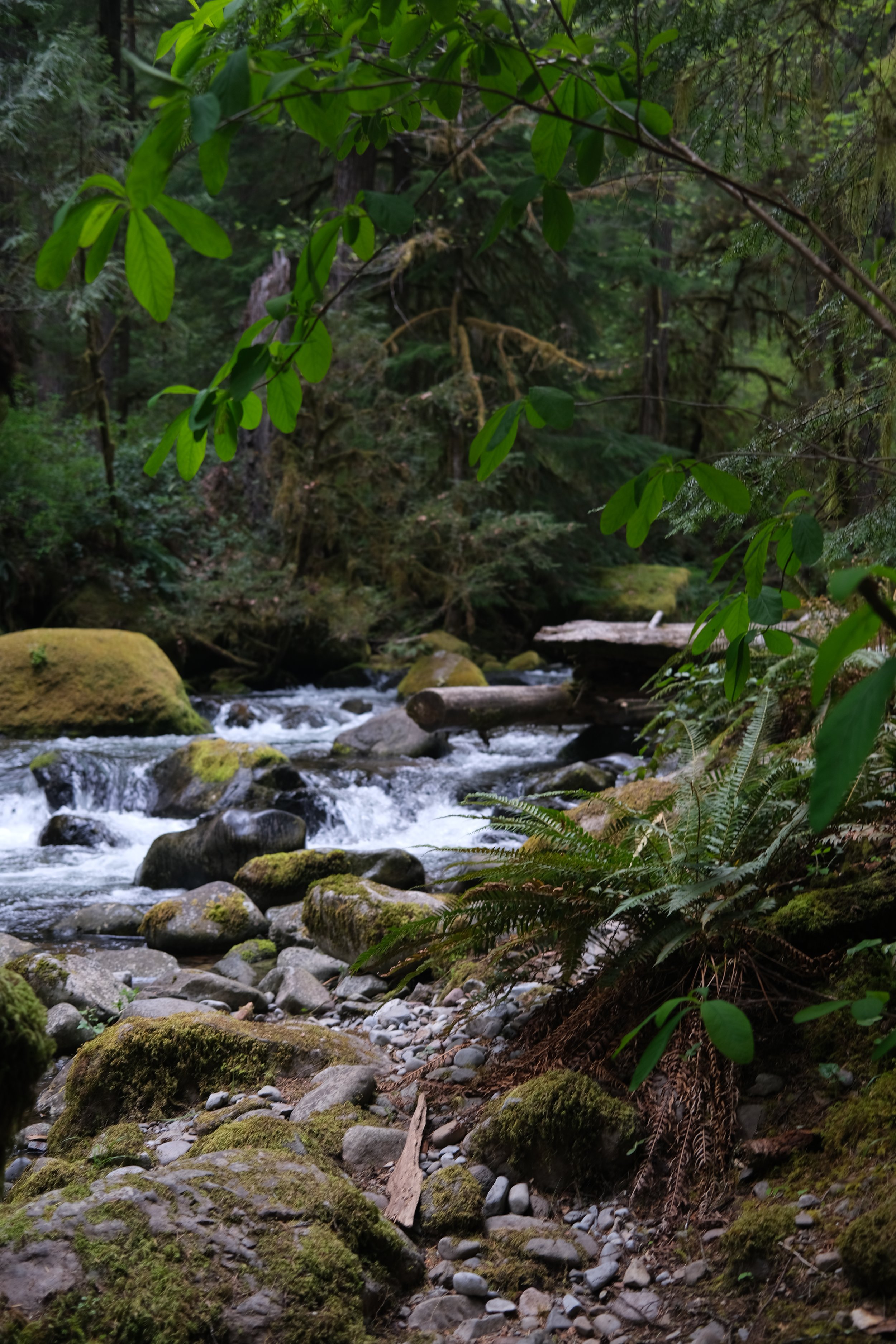 DSCF1164.JPG