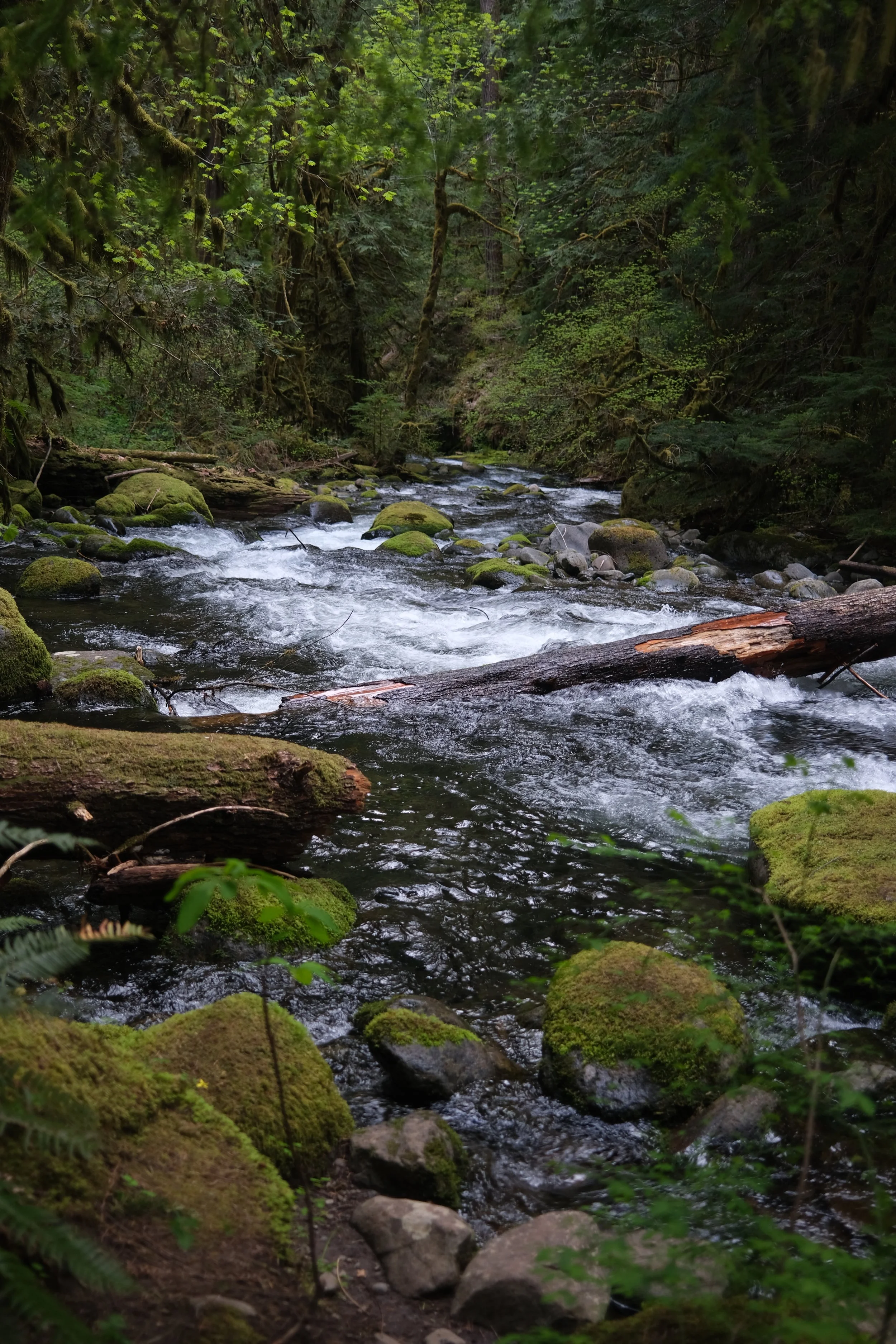 DSCF1146.JPG
