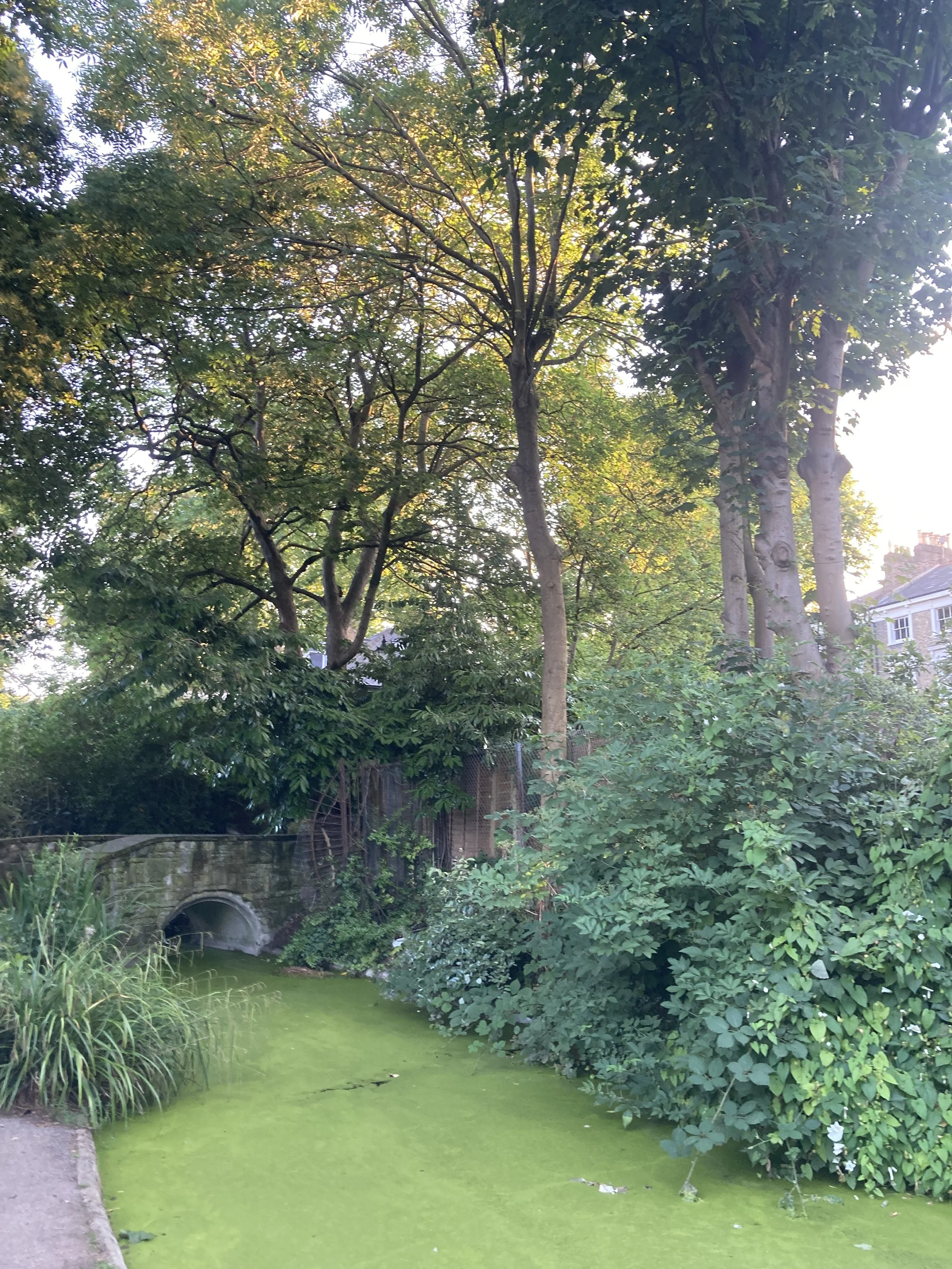 IMG_2378.jpeg