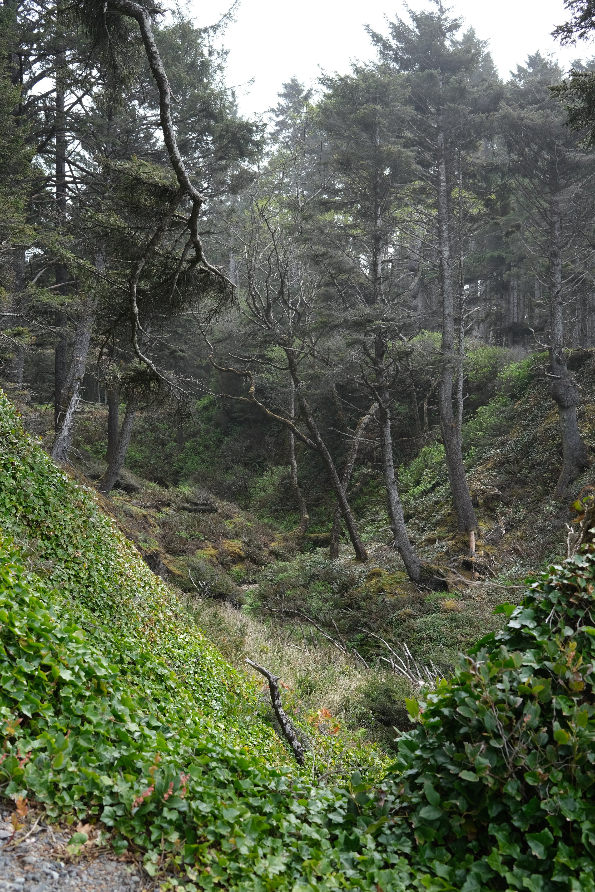 DSCF0537.JPG