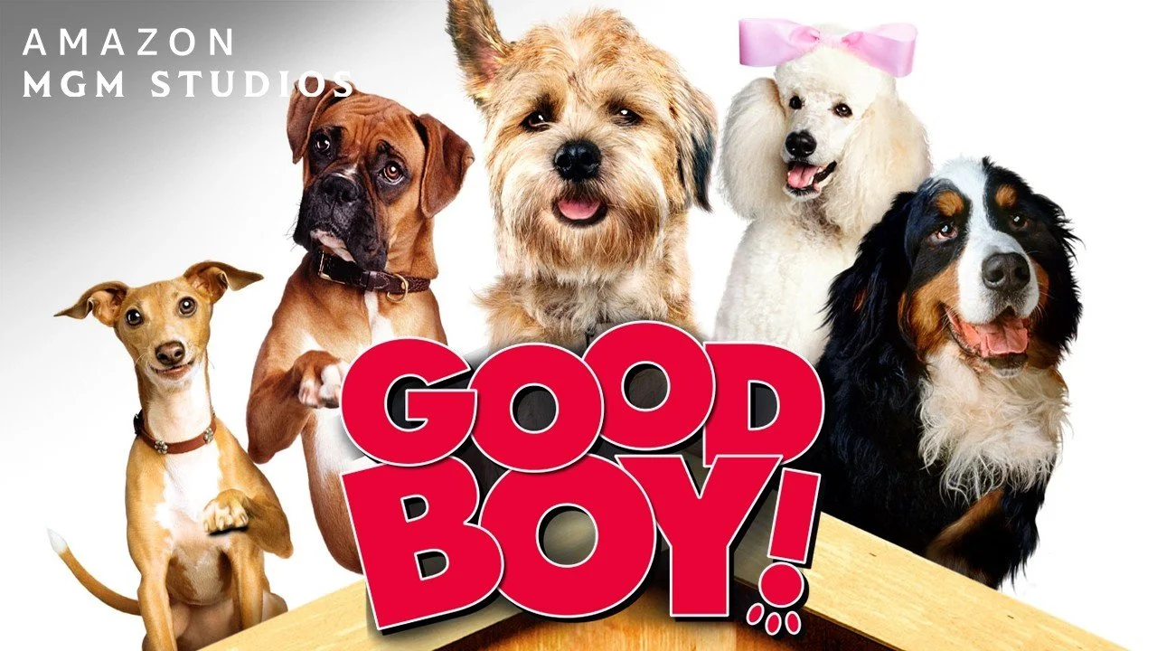 Good Boy! (2003)