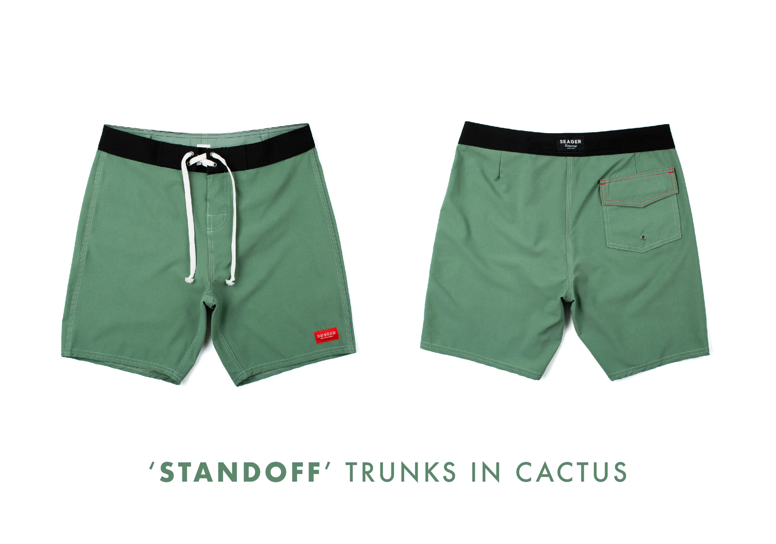 cactus_new.jpg