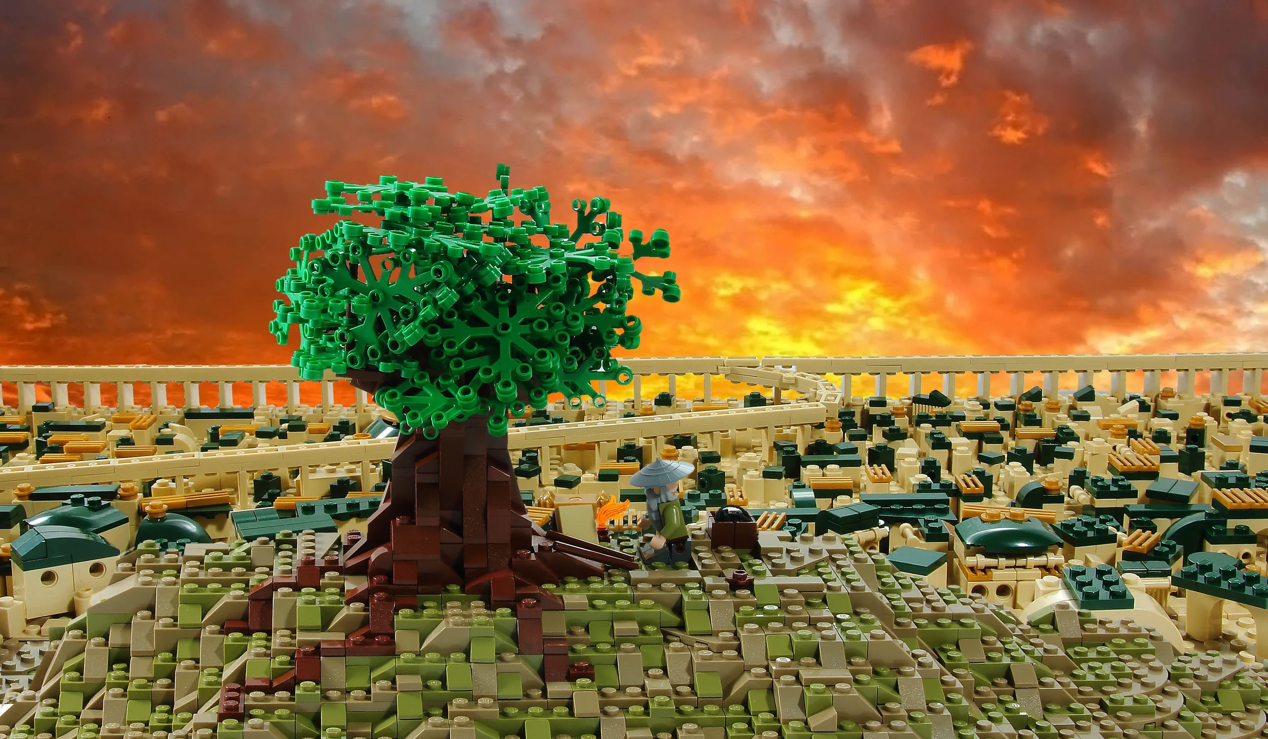 Leaves from the vine.JPG