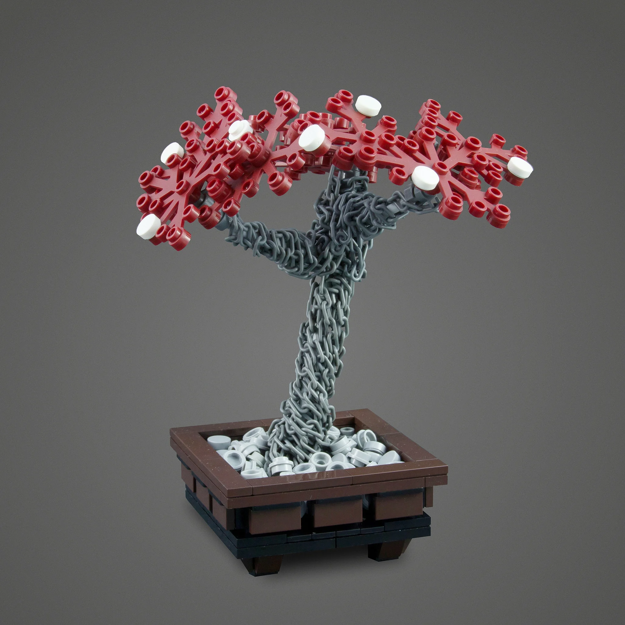 40187744181_5cd0669c4d_k.jpg