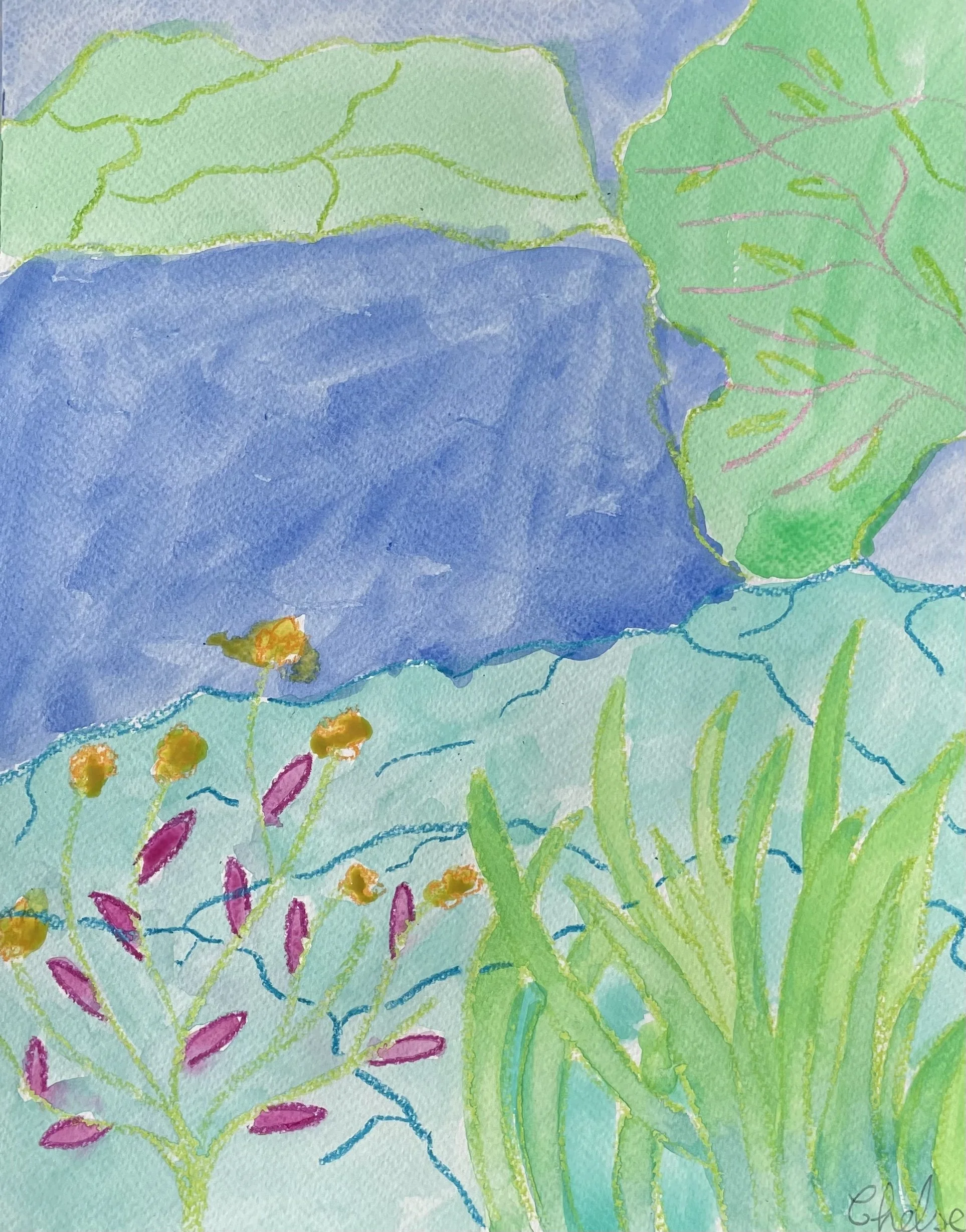 pond watercolour.jpg