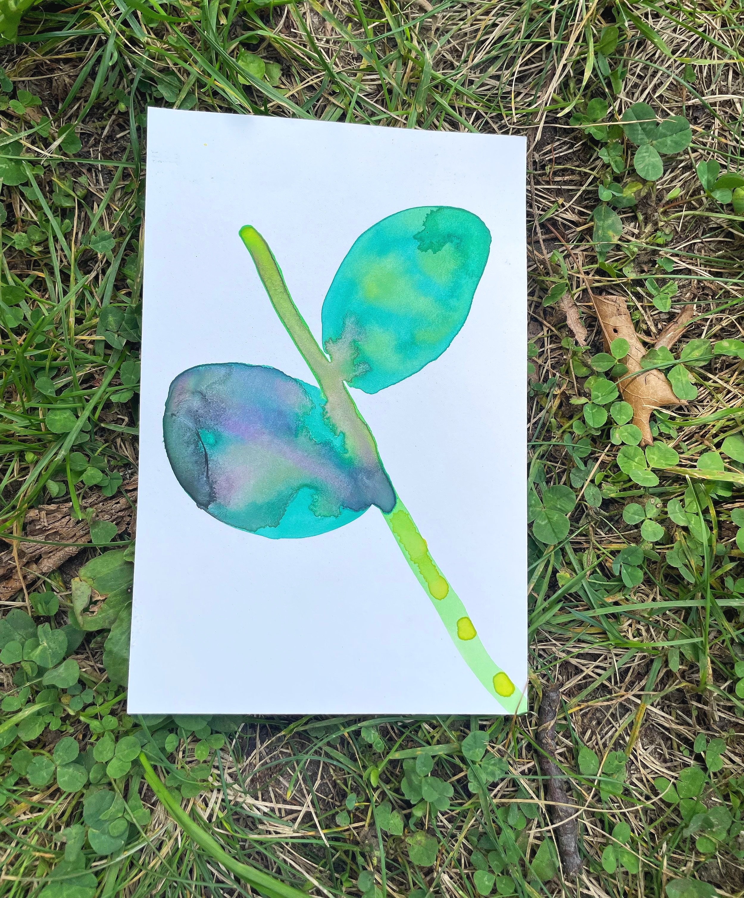 watercolour+leaf+outside.jpg