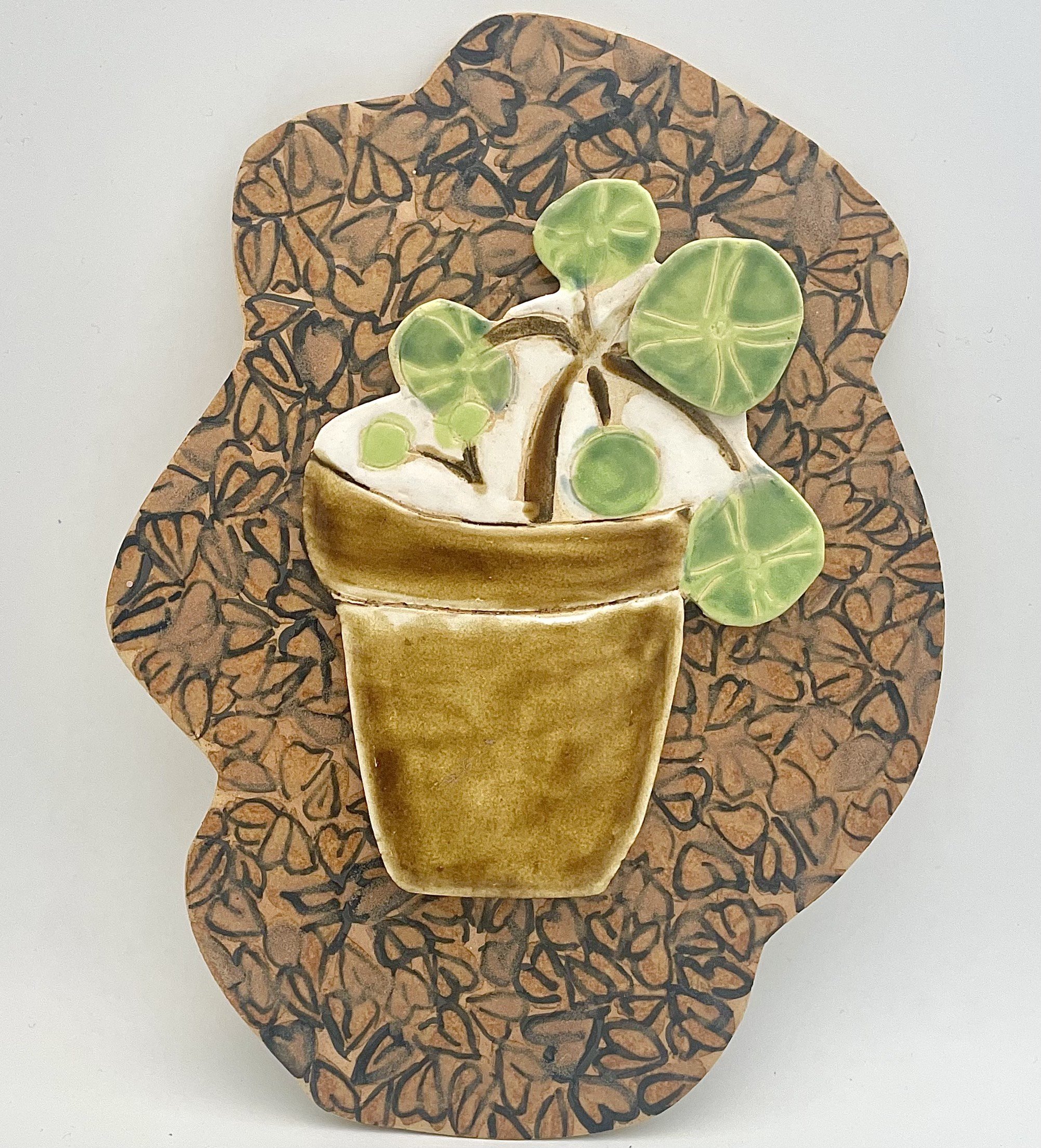 Pilea Gold.jpg