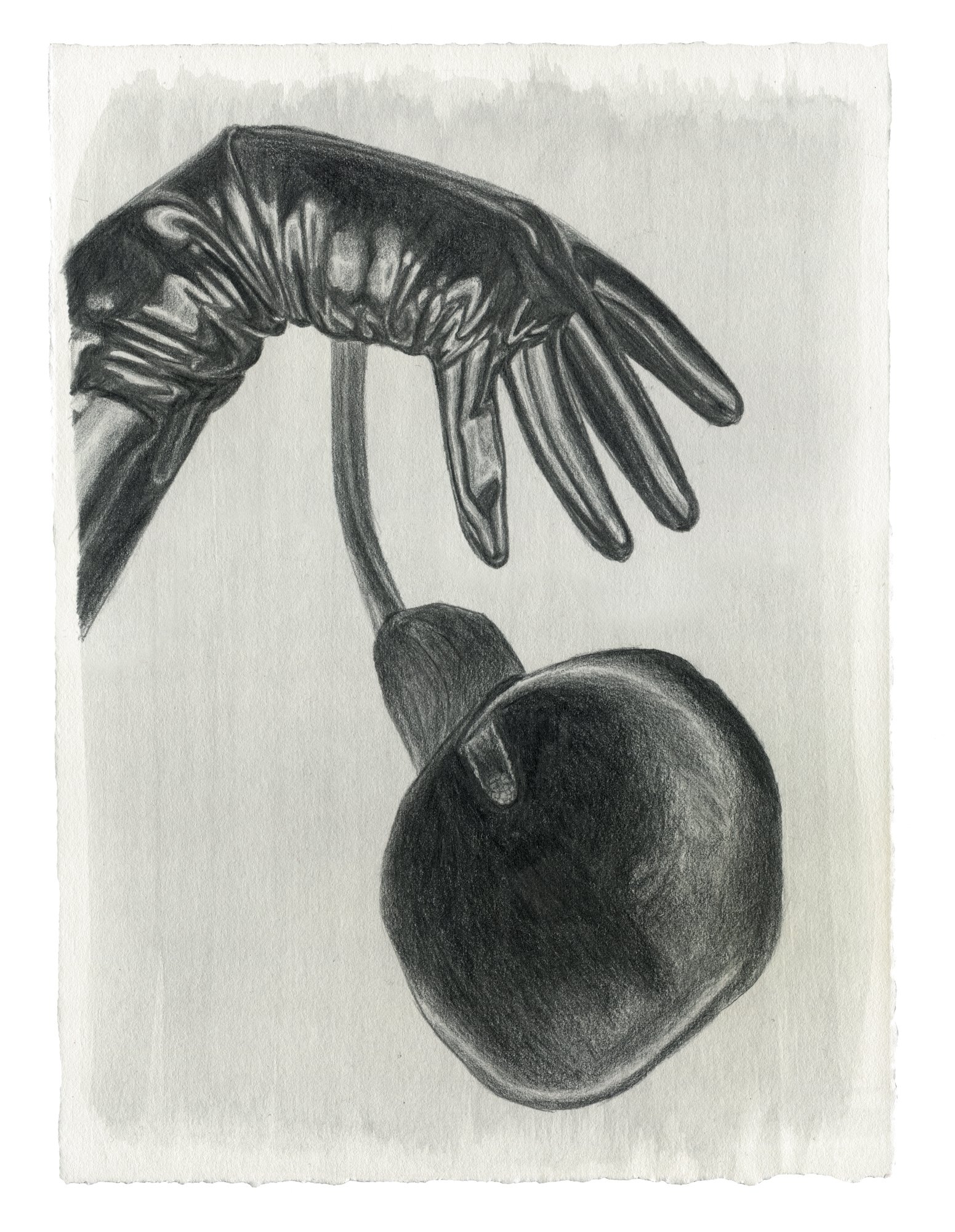   In the Heart of a Seed,  2022, Graphite and Gouache on Paper , 9 x 12 inches 