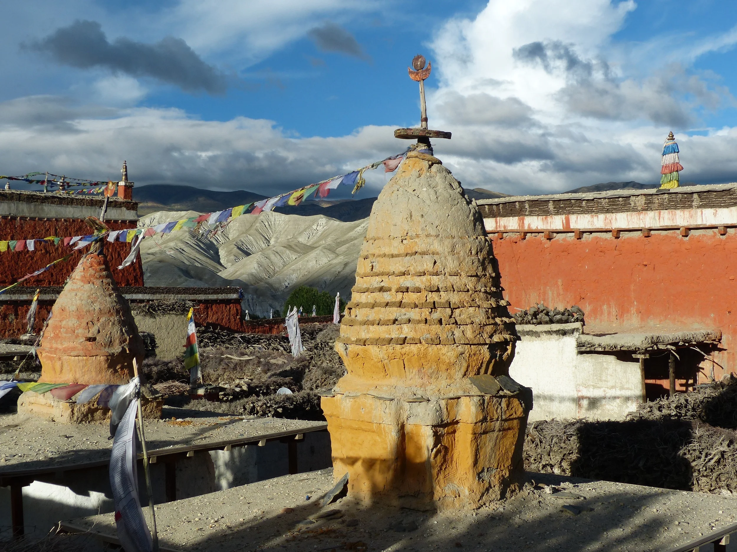 P1000739.jpg