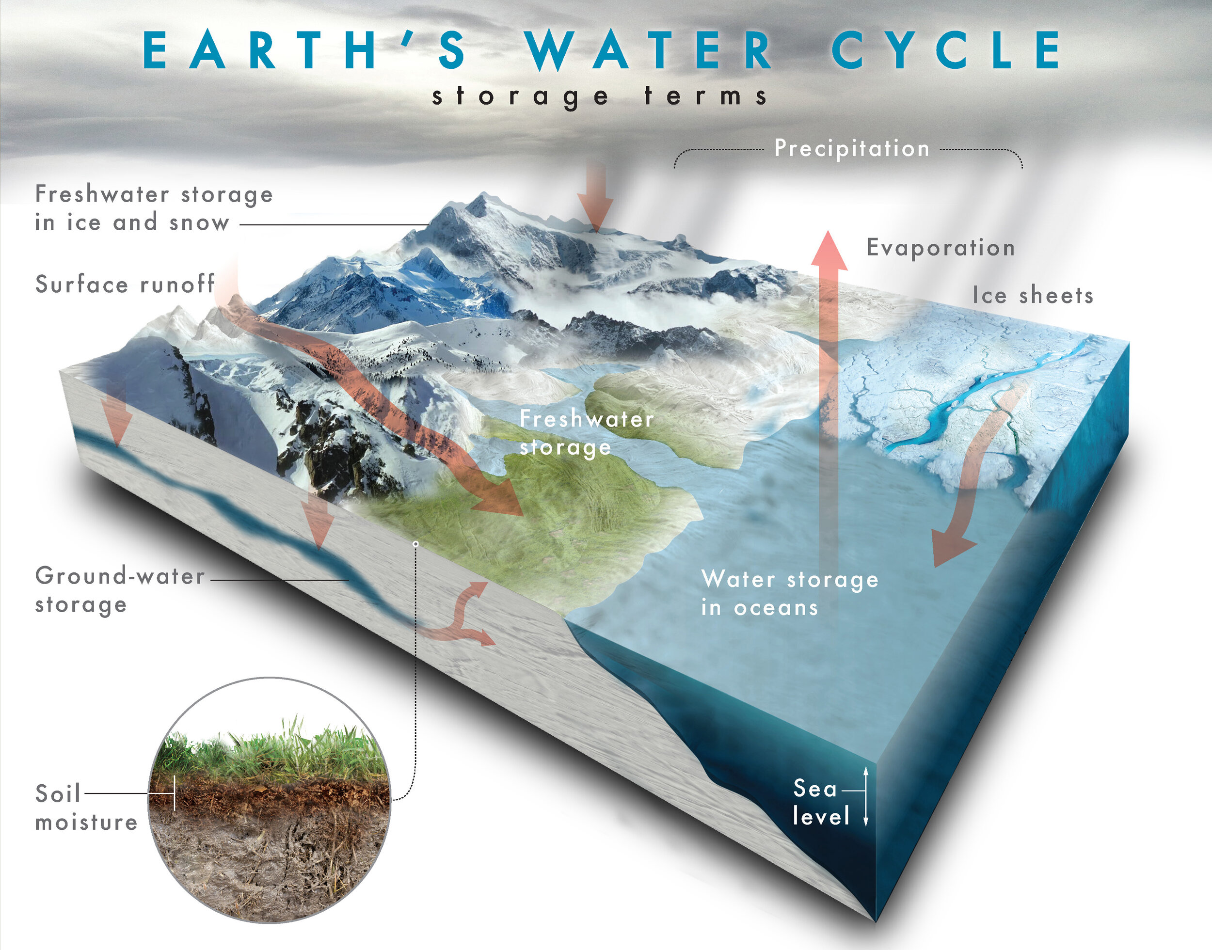 Earth's Water Cycle Diagram