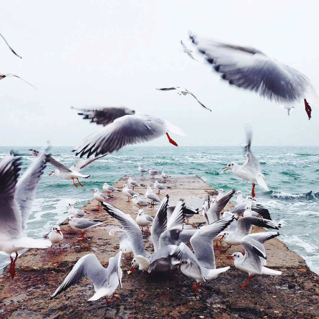 News — Flying Fish Watersports