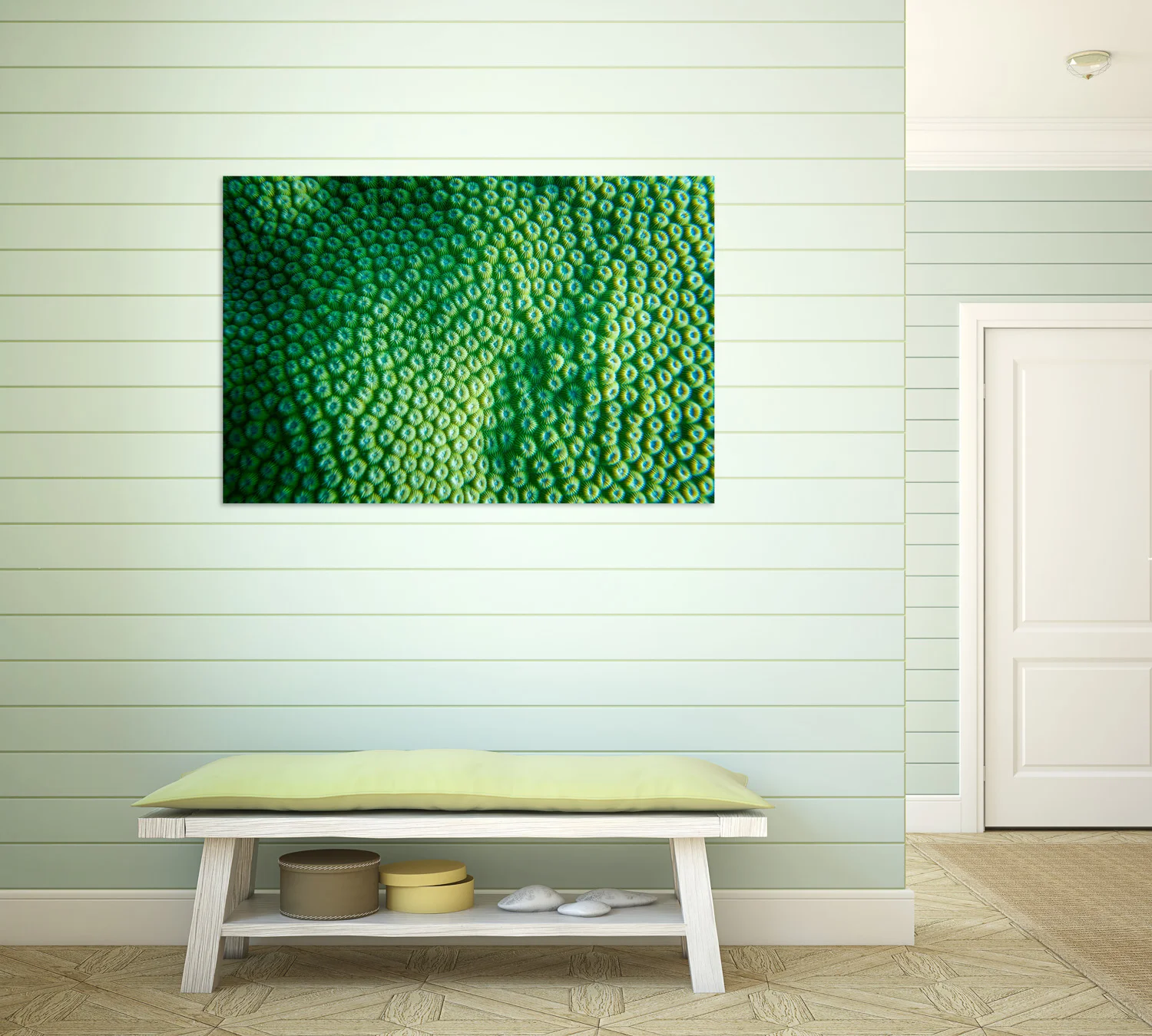 Details-of-the-Sea-Print-1.jpg