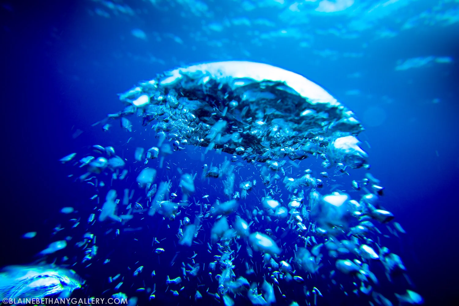 -Bubbles-from-Below.jpg
