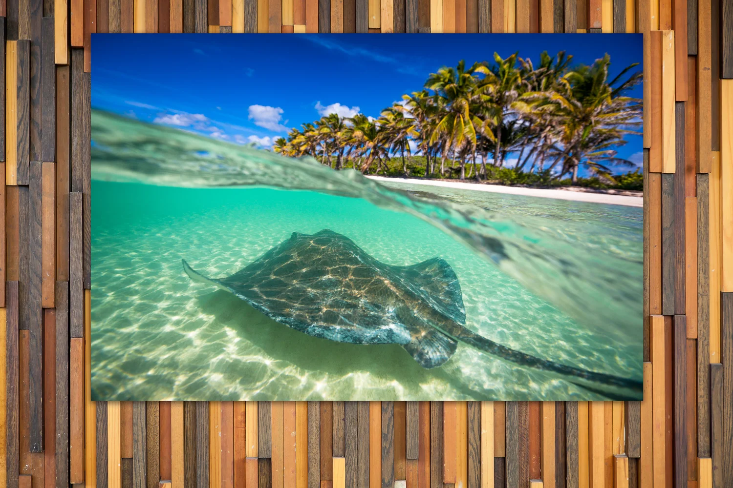 Stingray-in-Paradise-Print-5.jpg