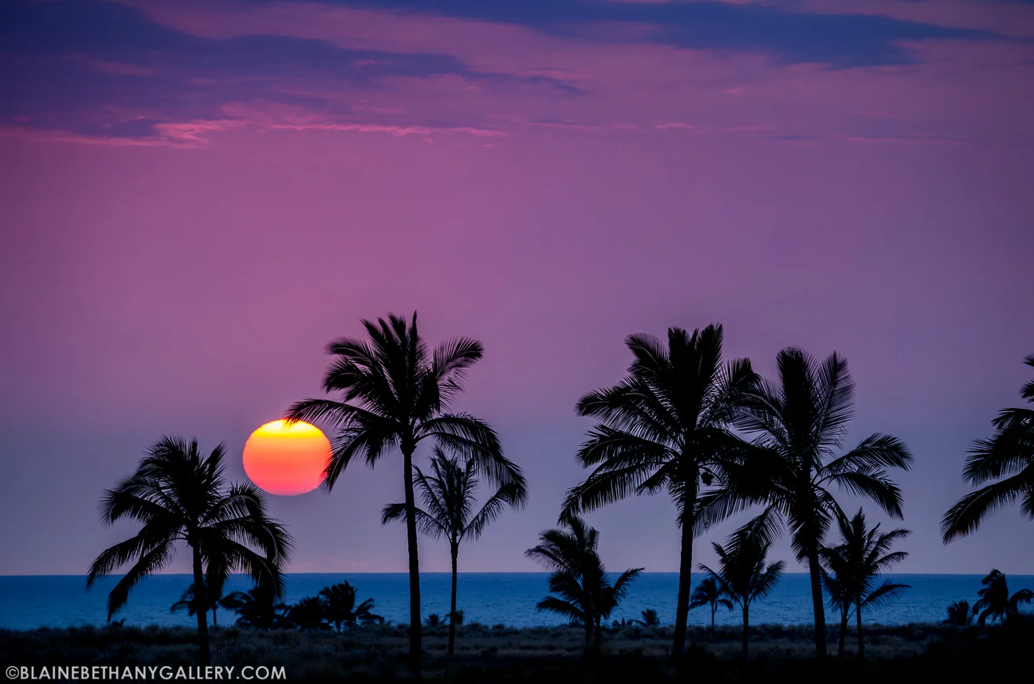 -Sunset-Delight.jpg