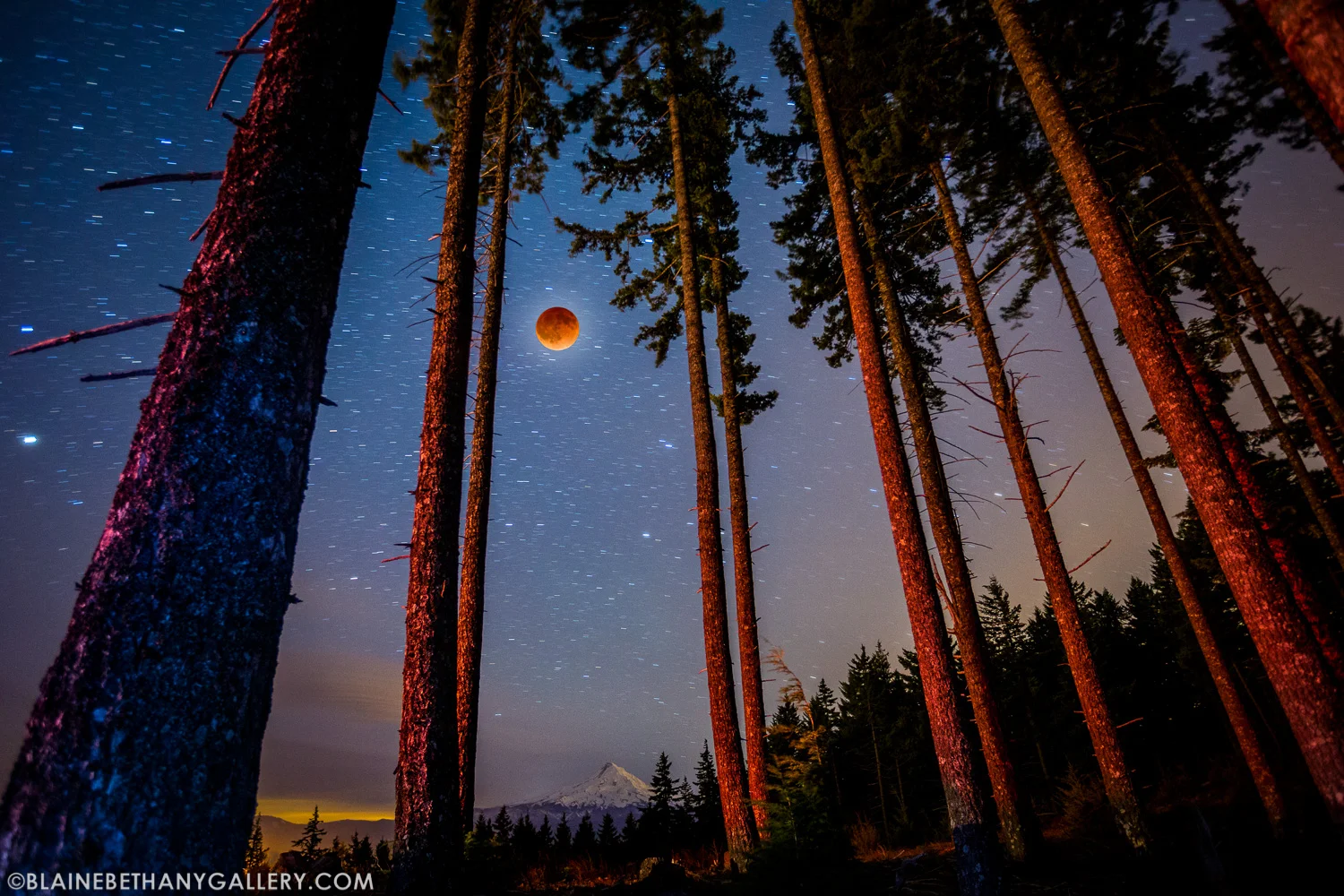 -Lunar-Landscape.jpg