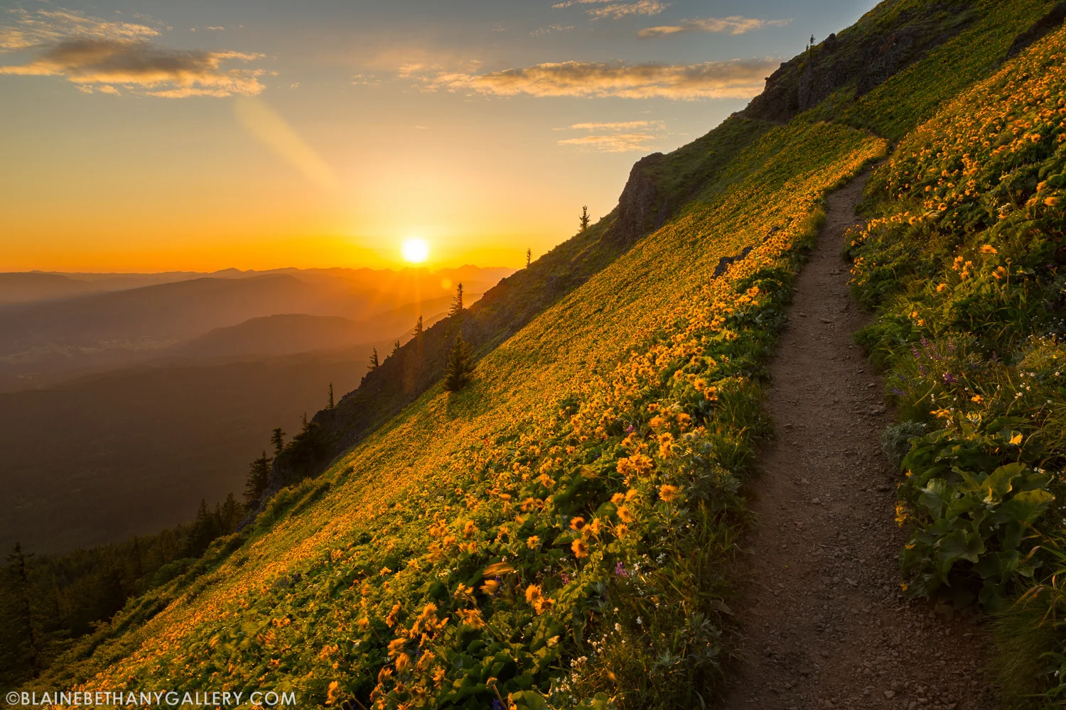-Dog-Mountain-Solitude-2.jpg
