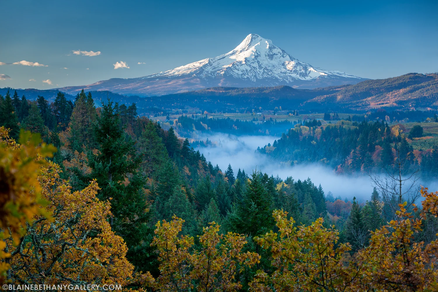 -Fall-Fog-in-the-Valley.jpg