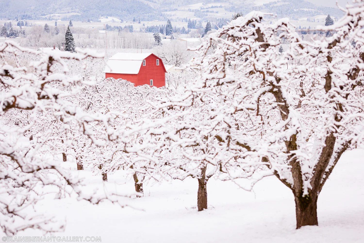 -Snowy-Isolation.jpg