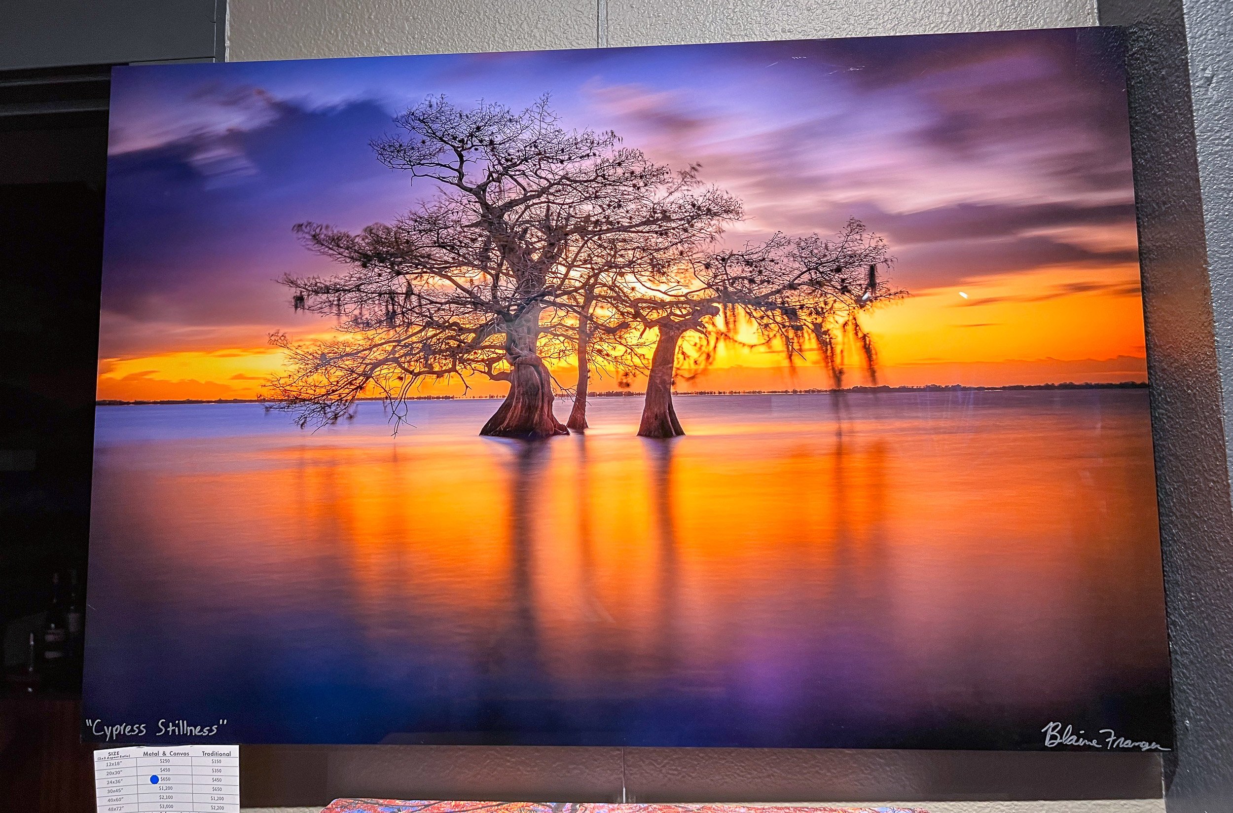 Cypress-Stillness-20x30-Blaine-Bethany-Gallery-In-Stock-2025-26.jpg-Blaine-Bethany-Gallery.jpg