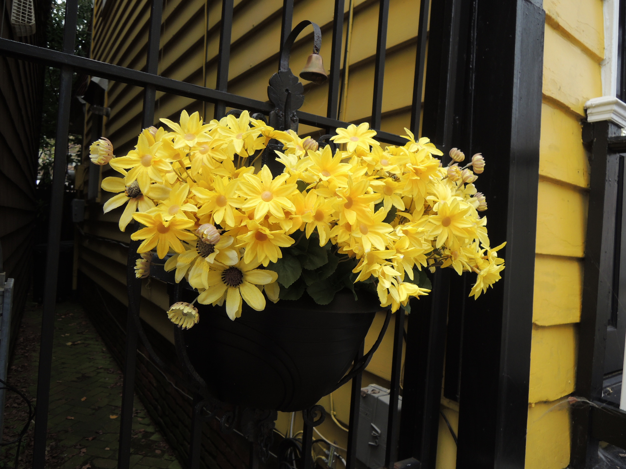 An adorable flower box