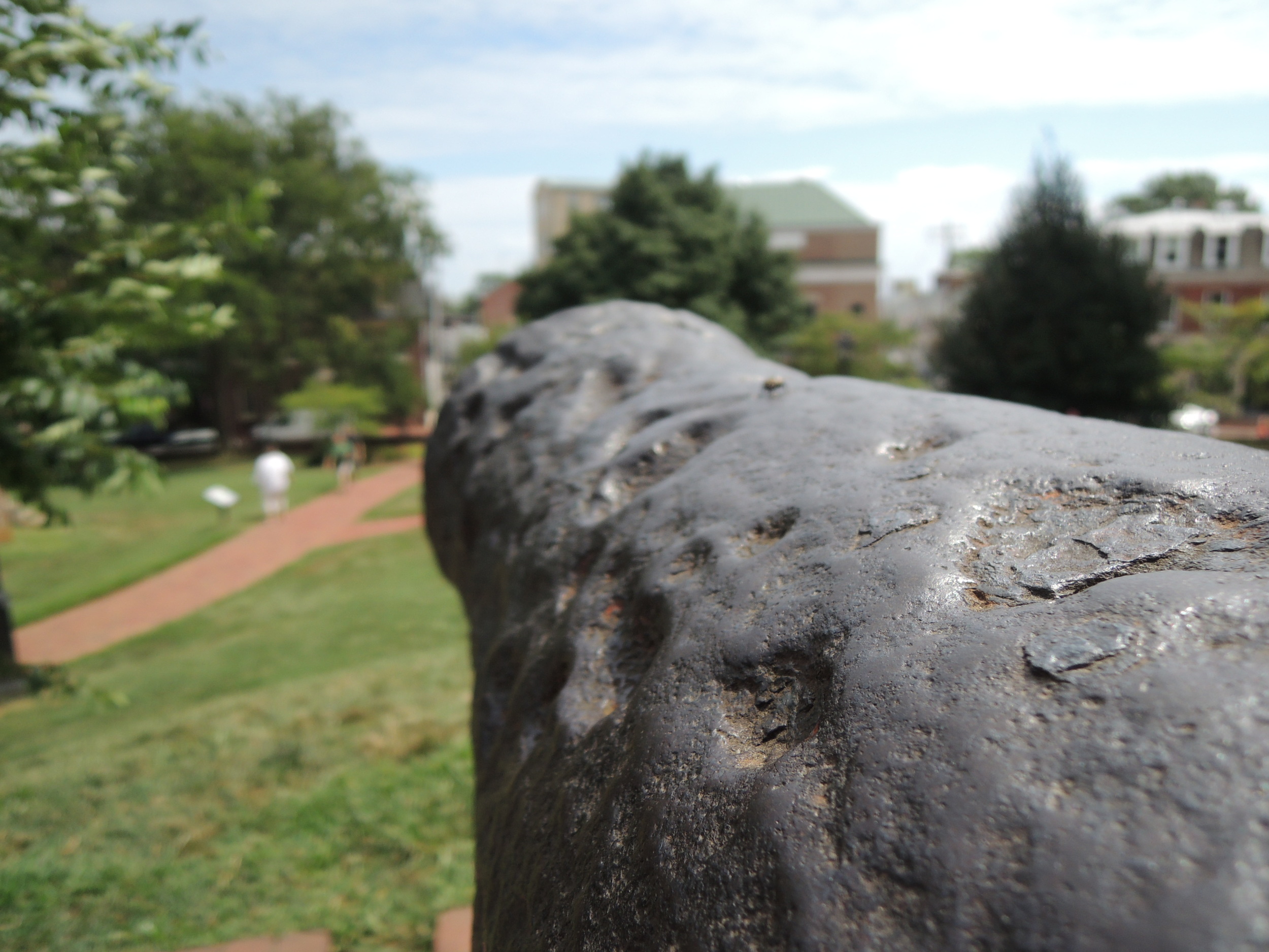Cannon view