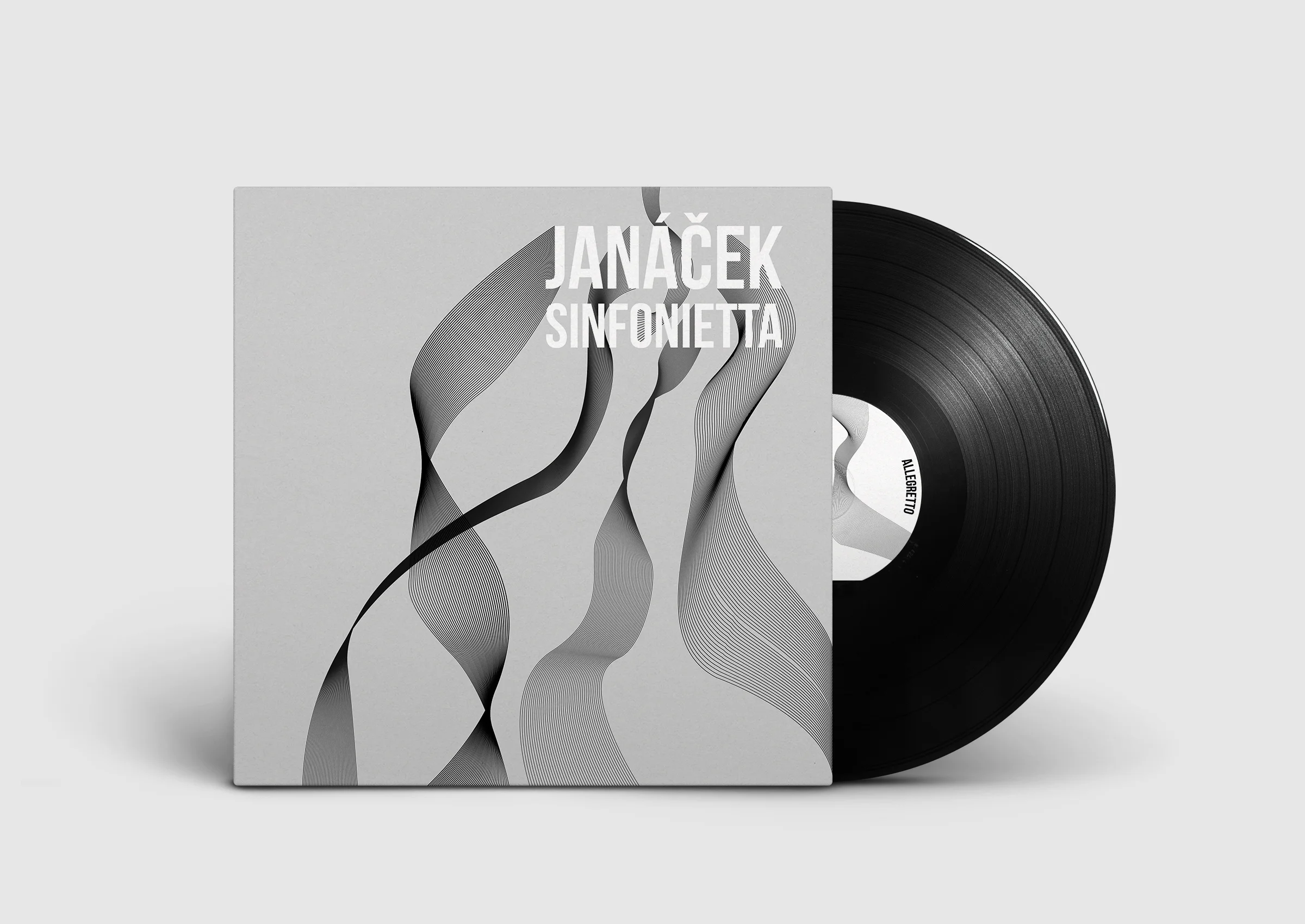 Vinyl Record PSD MockUp2.jpg