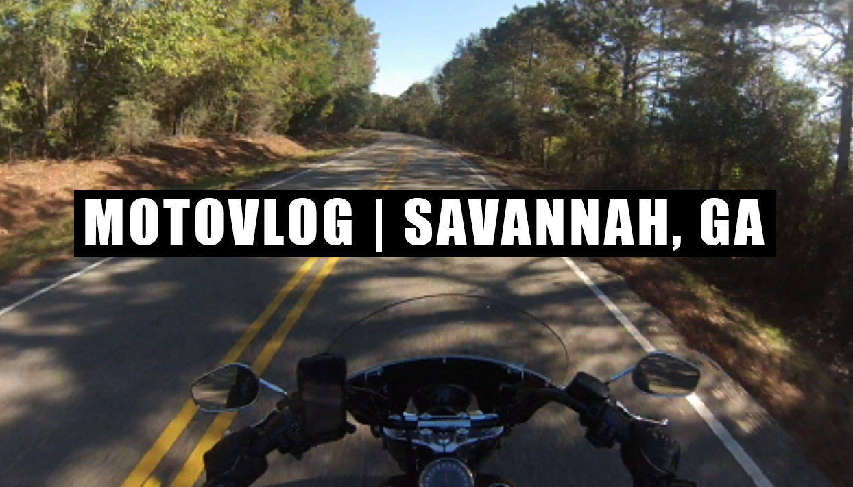 SAVANNAHVLOGTHUMB.png