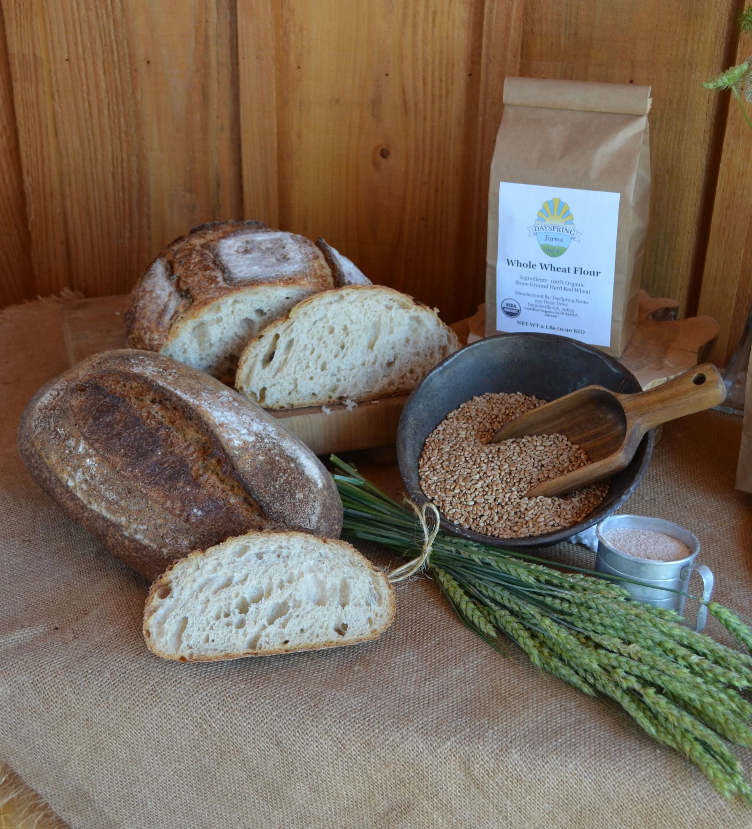 Whole Wheat Bread Flour 3.JPG
