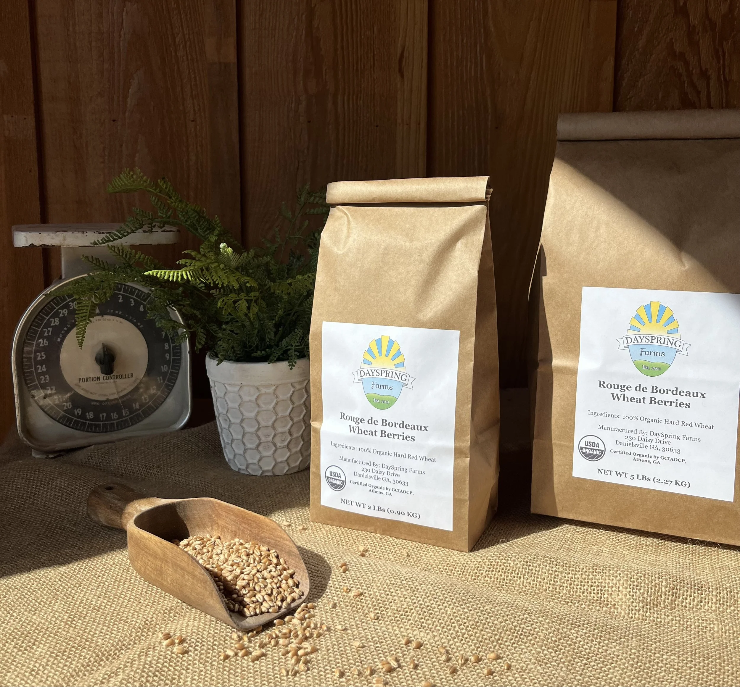 Organic Rouge de Bordeaux Wheat Berries.jpg
