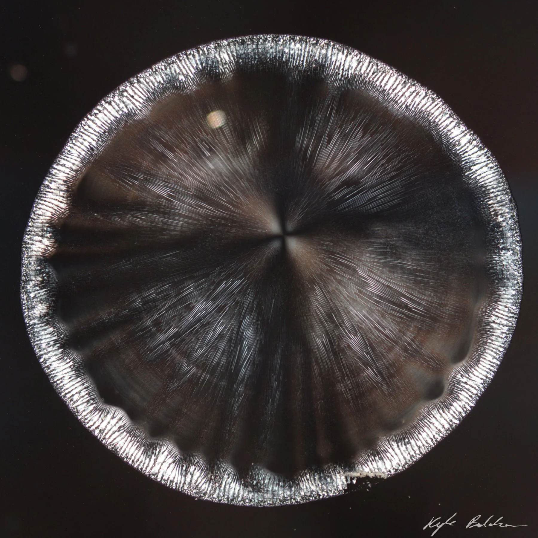 Nanospheres_6x6_wSignature.jpg