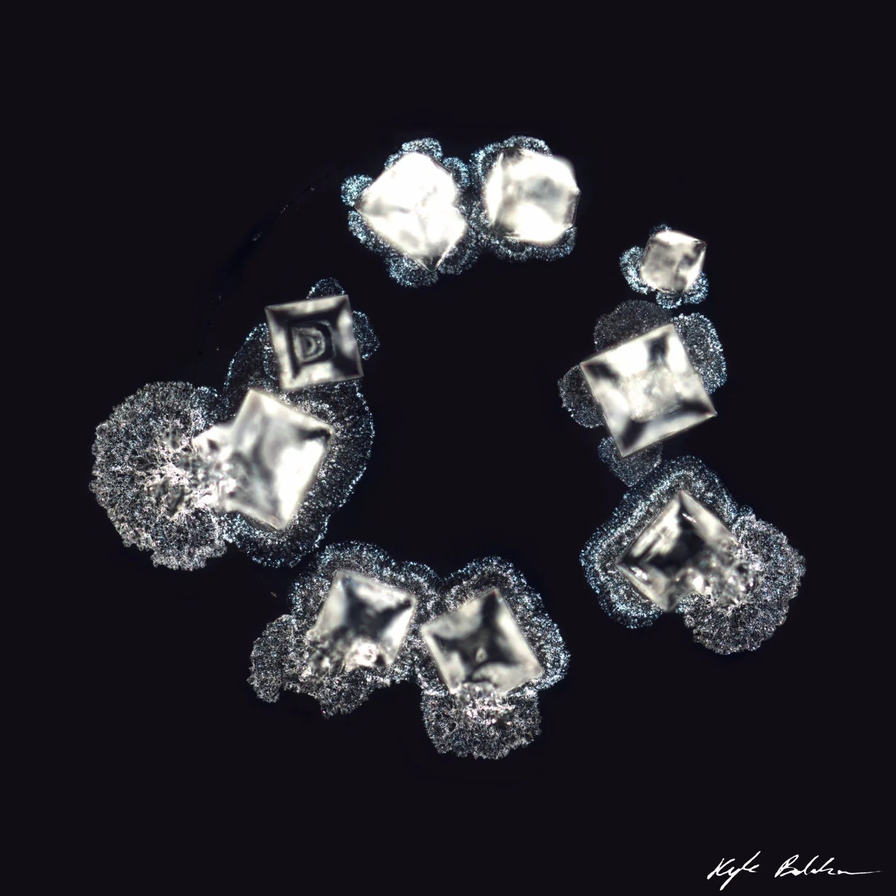 SaltDroplet_6x6_withSignature.jpg