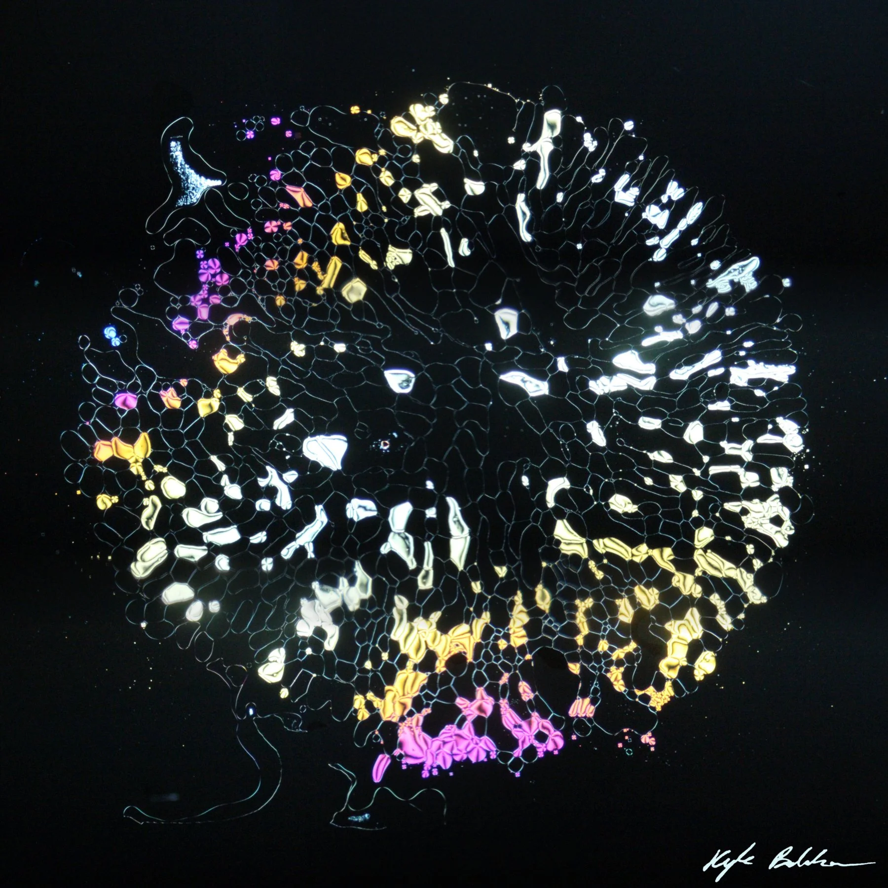 Sparklet_6x6_WSignature.jpg